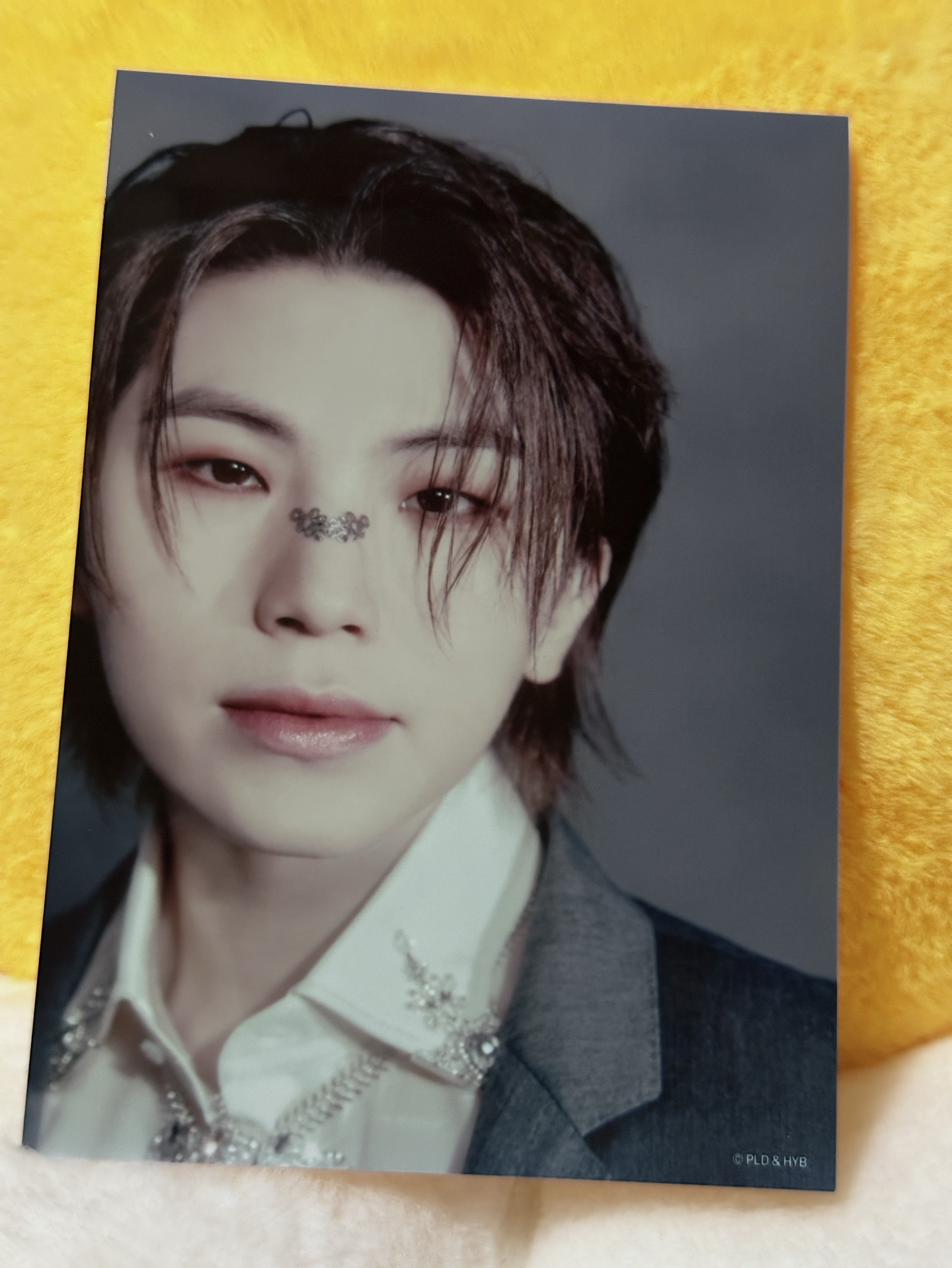 消費期限 照片卡 生寫 哲榮碩勳寛率