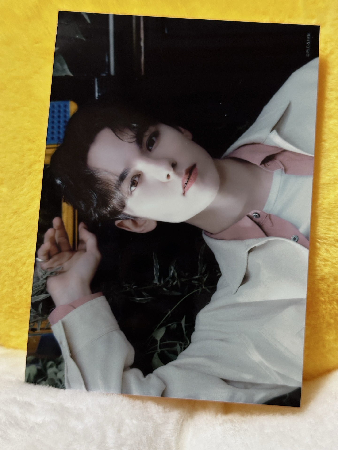 消費期限 照片卡 生寫 哲榮碩勳寛率