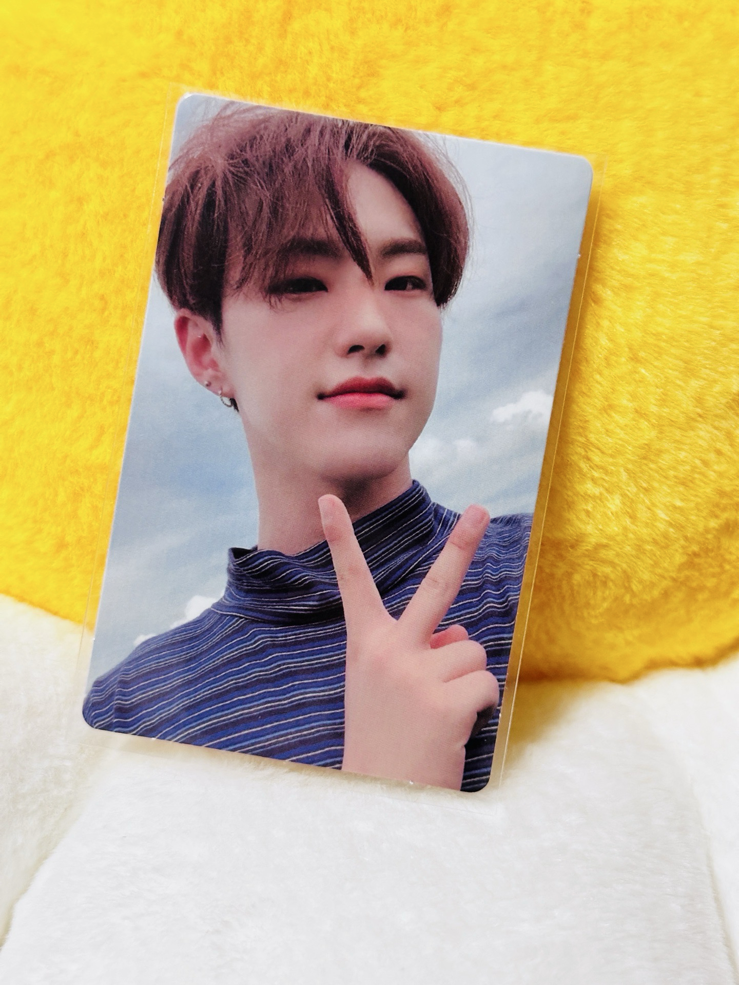 權順榮 hoshi 正三 專卡