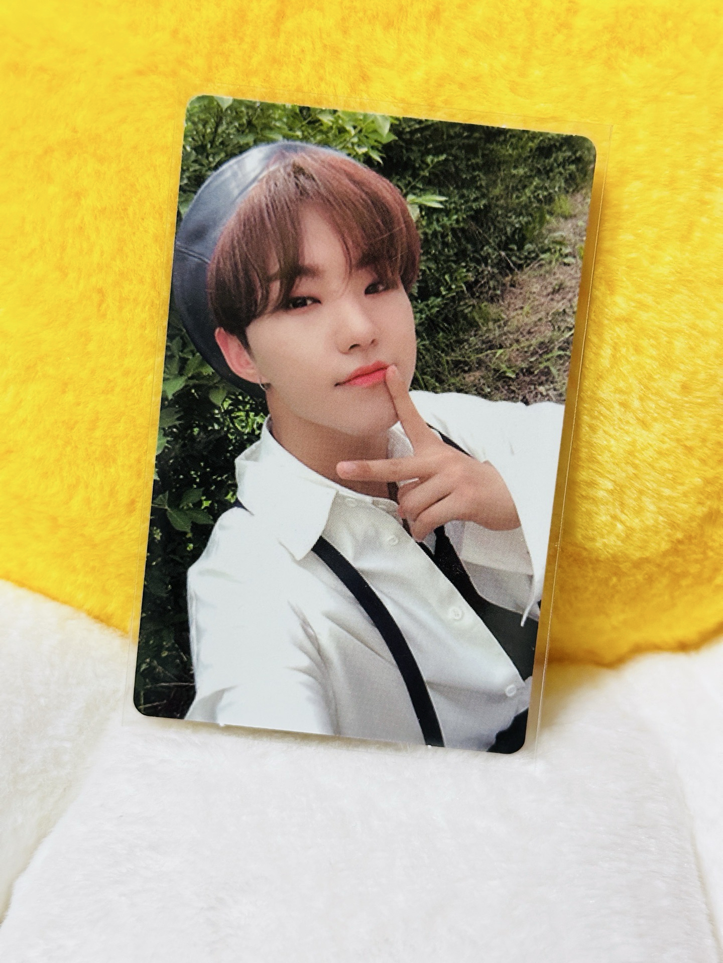 權順榮 正三 專卡