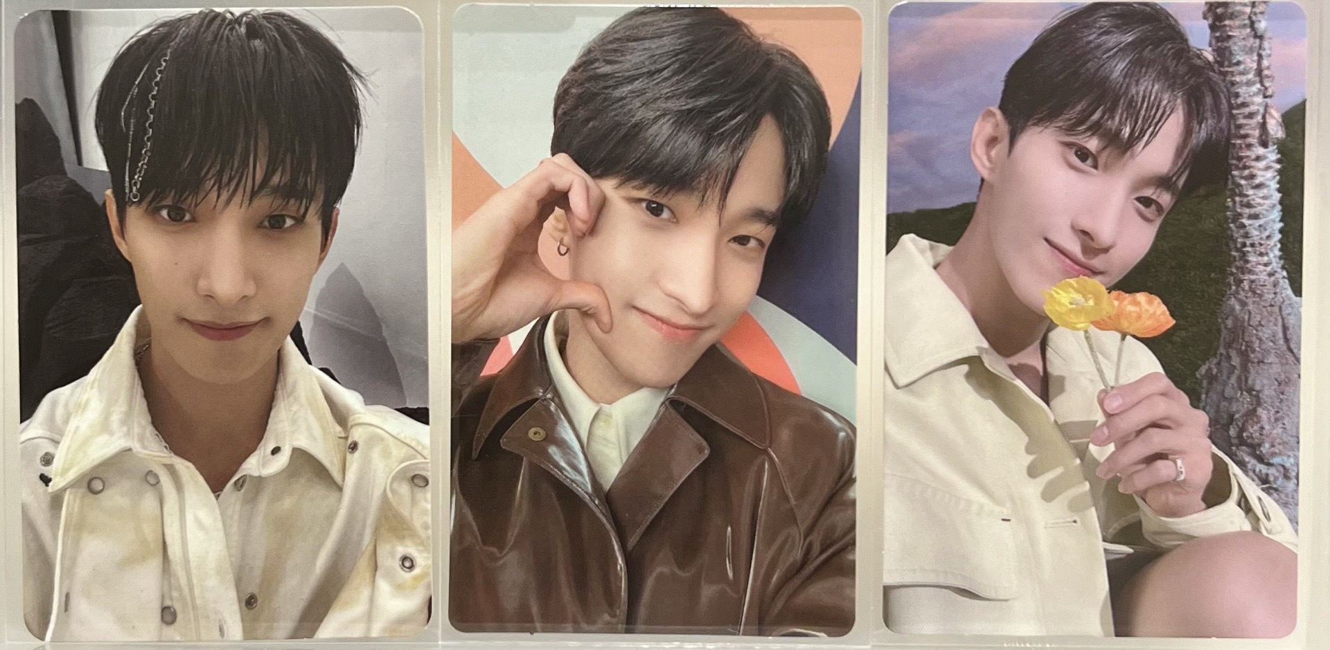 碩 Face the sun, Sector 17三張不拆