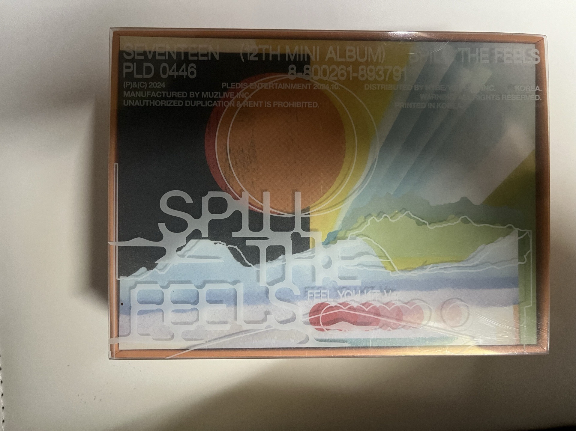 💎SEVENTEEN 空專