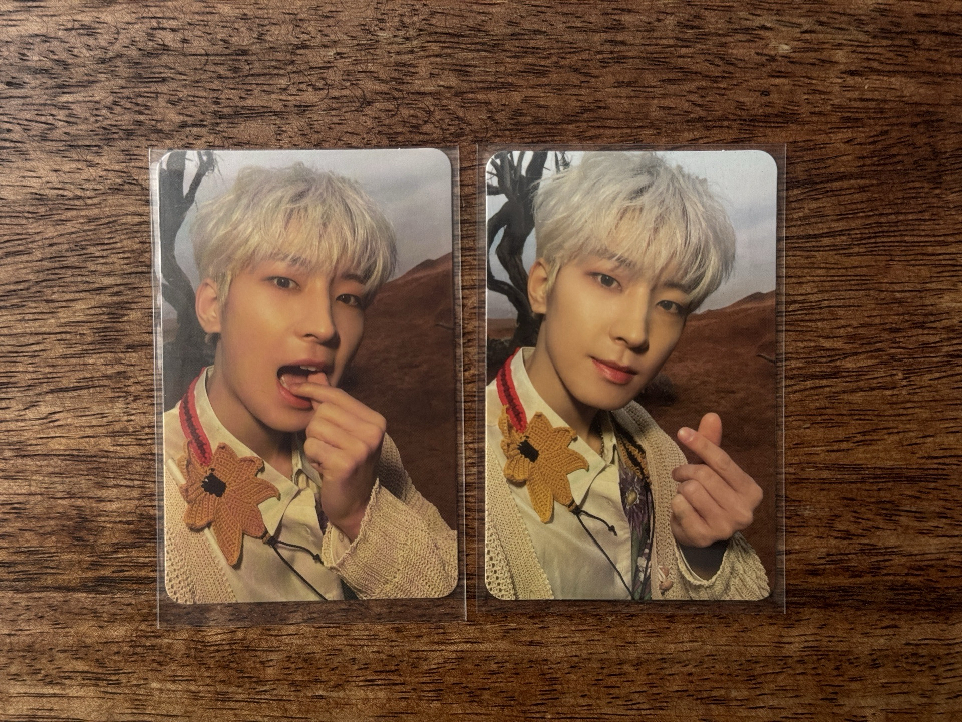 🐈‍⬛ 圓佑 正四 比心圓 咬心圓