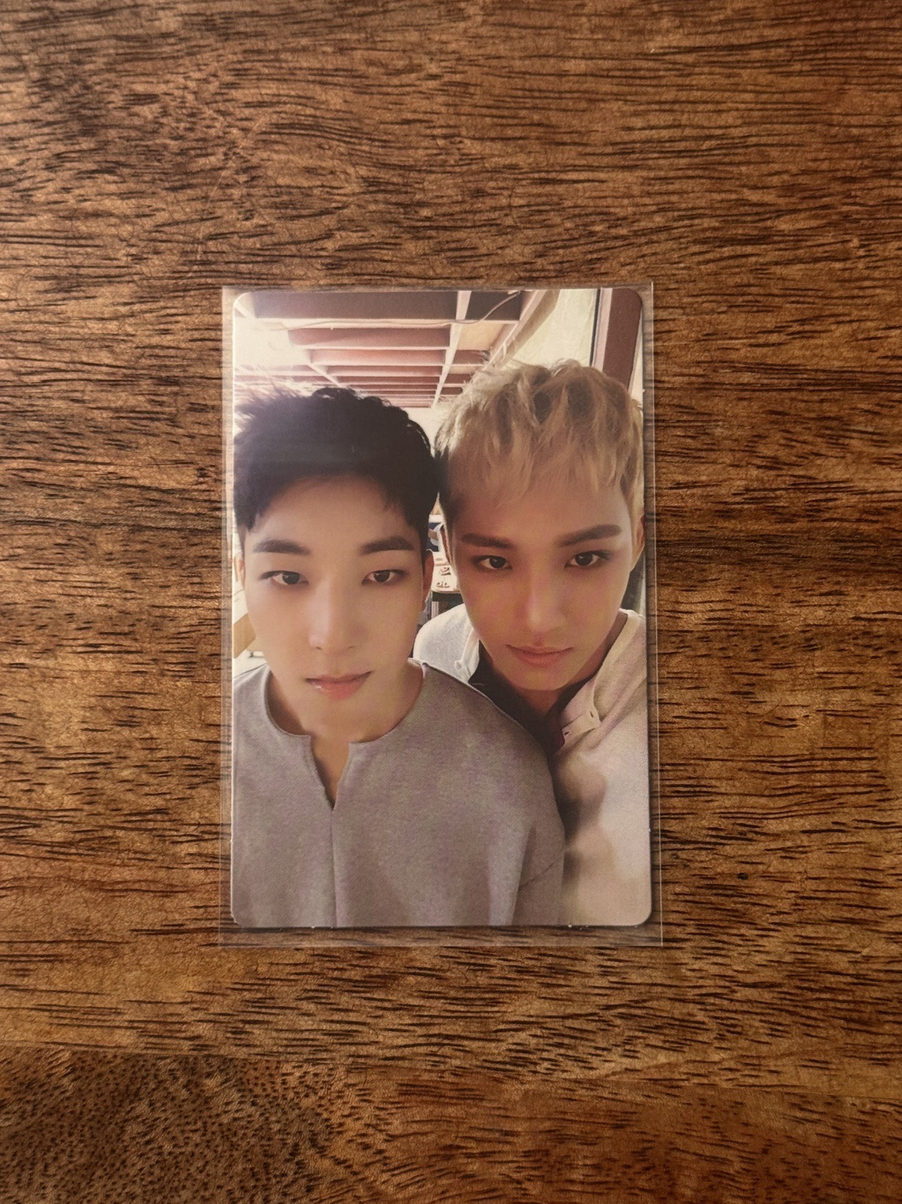 🐶🐈‍⬛ 奎、圓 MINI3 迷3 早期卡 雙人卡