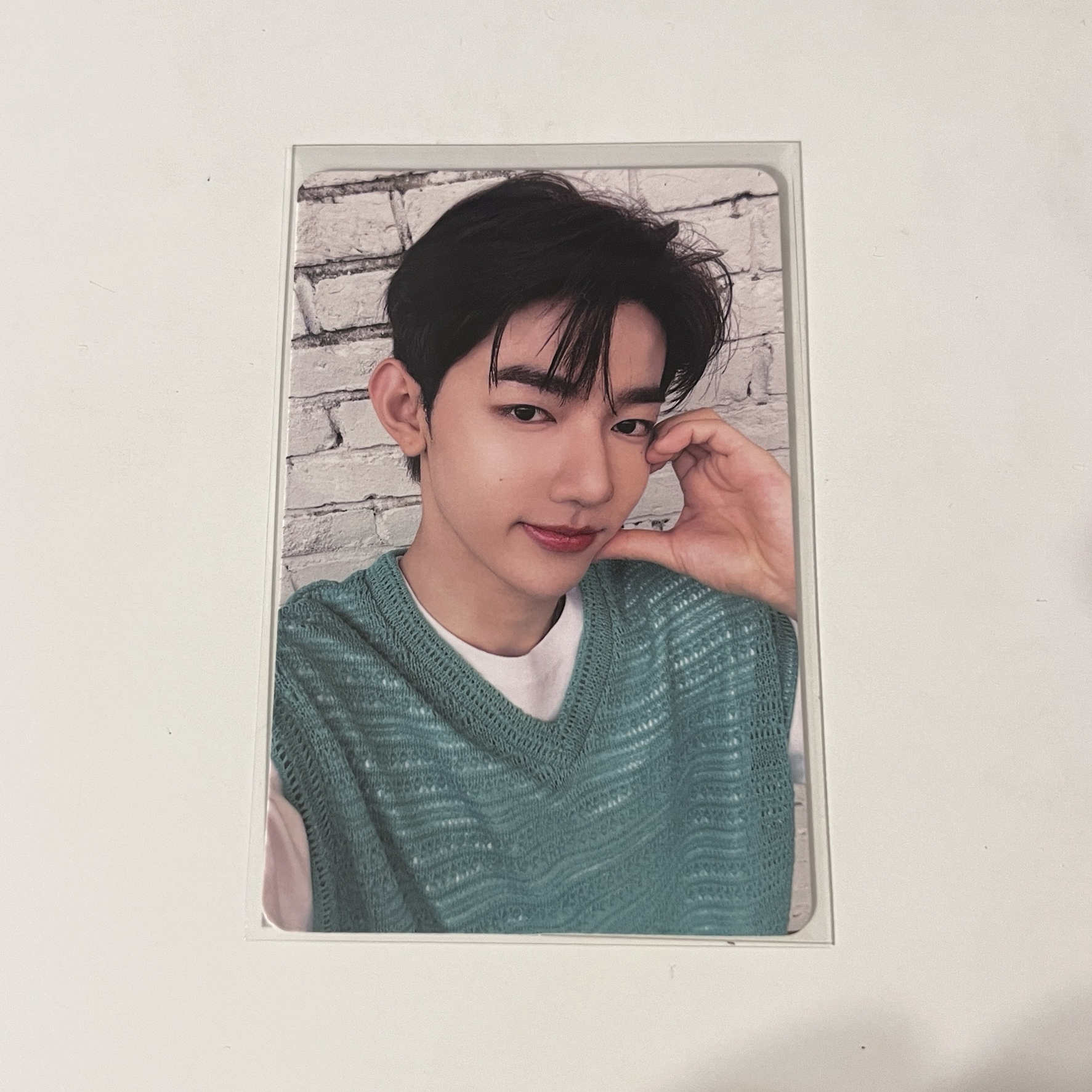 BRINGGREEN  芭蘭歌林1.0 昊