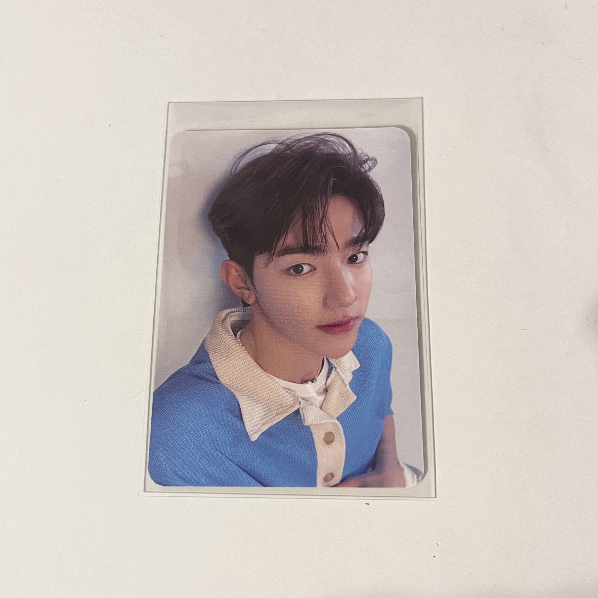 BRINGGREEN 芭蘭歌林2.0 昊