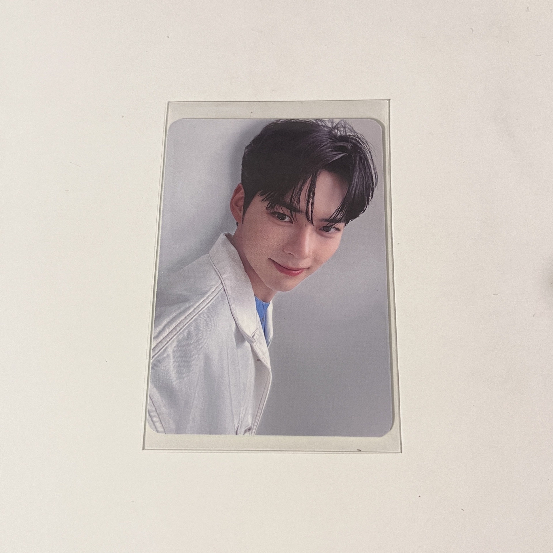 BRINGGREEN 芭蘭歌林2.0 彬