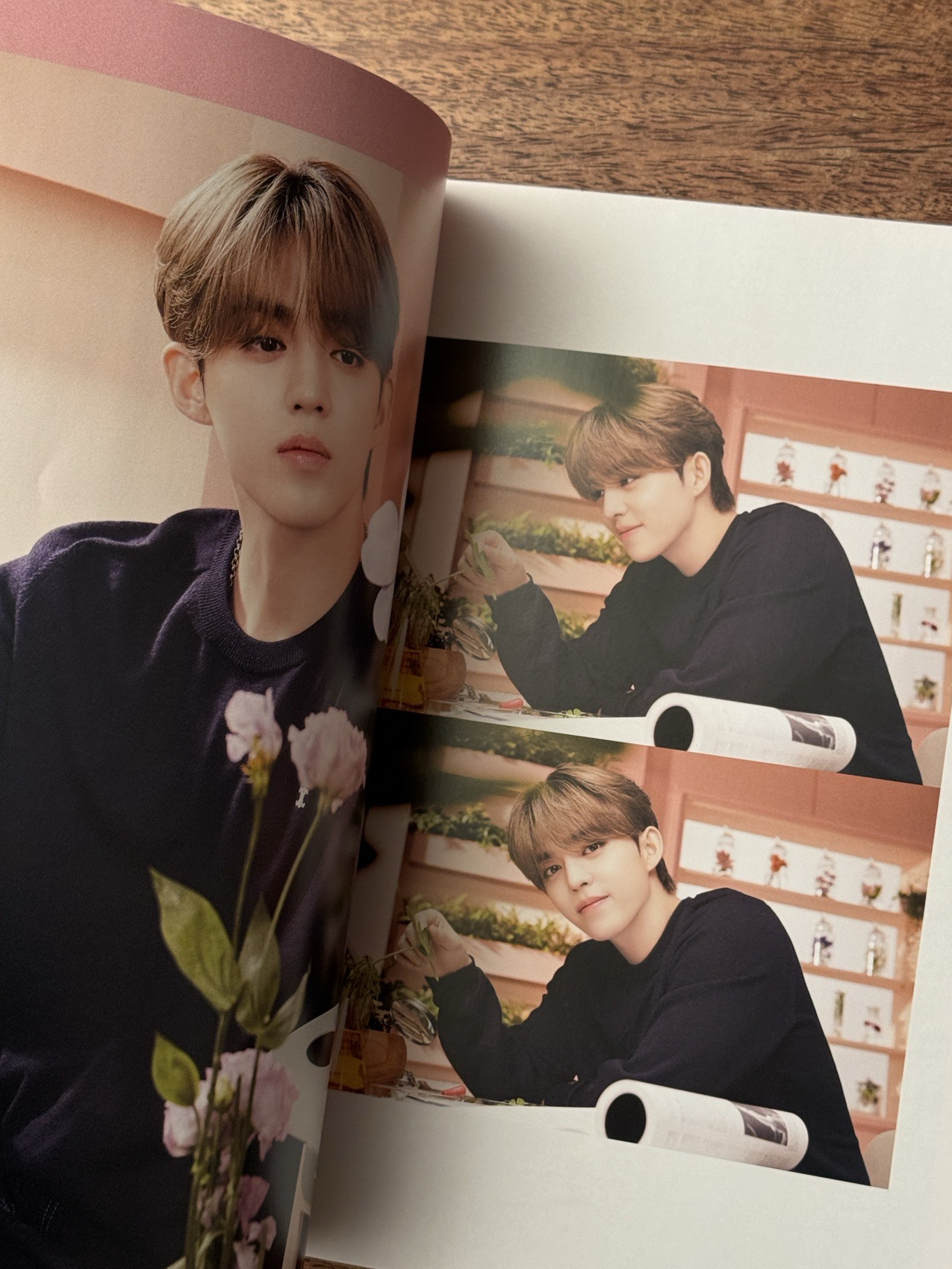 🍒👼🏻🦌95Line 日本會員雜誌 Vol.14 CARAT MAGAZINE 