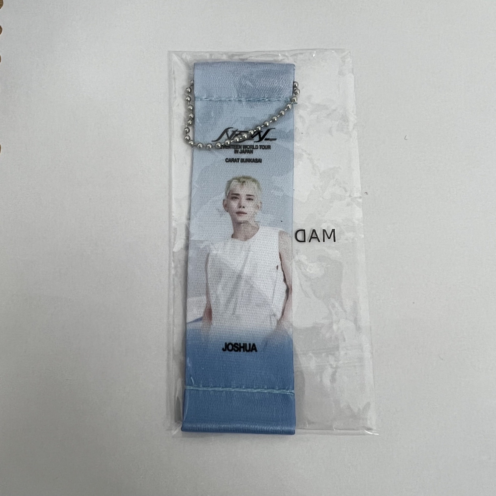 NEW_日巡扭蛋旗幟