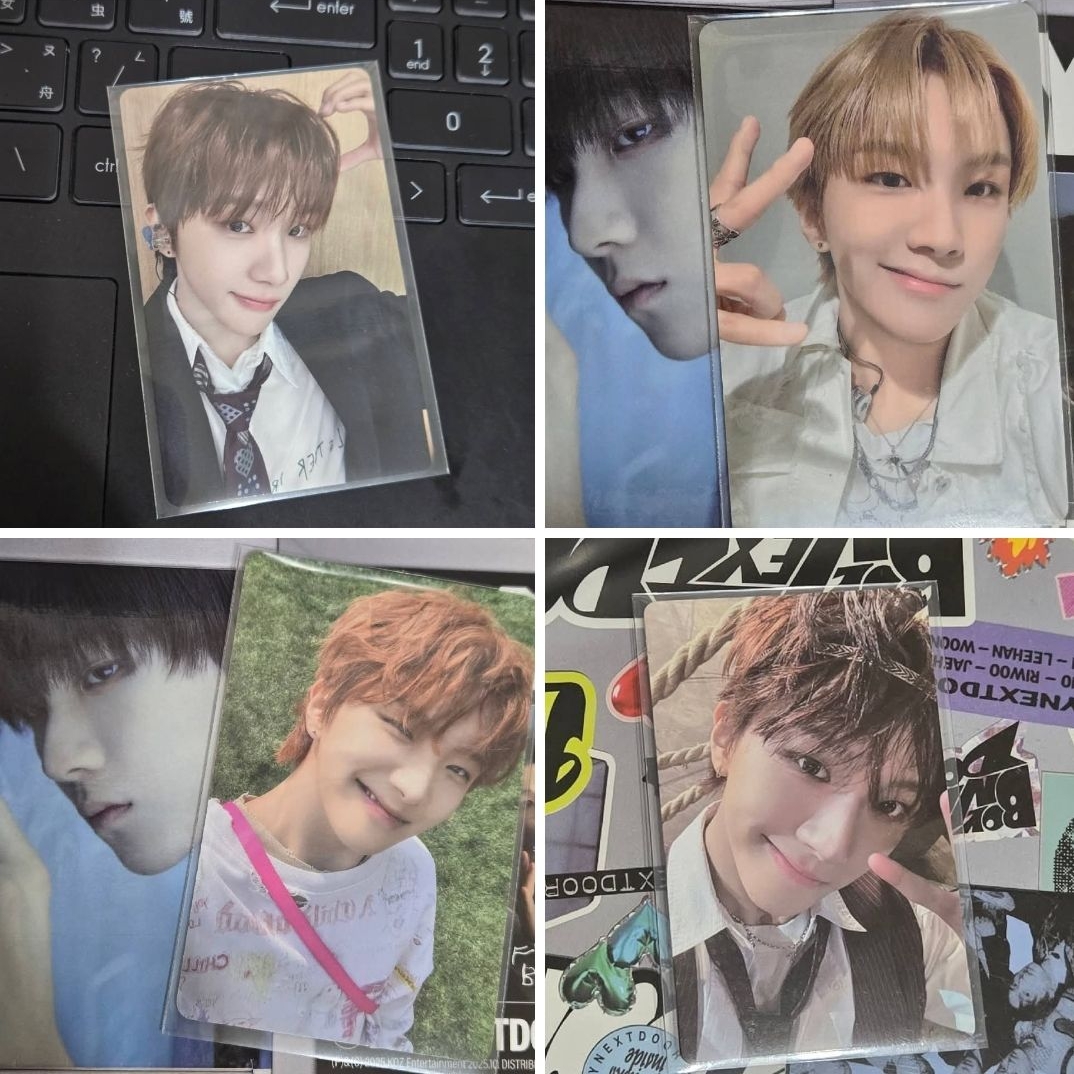 wvs末簽小熊雲鶴 