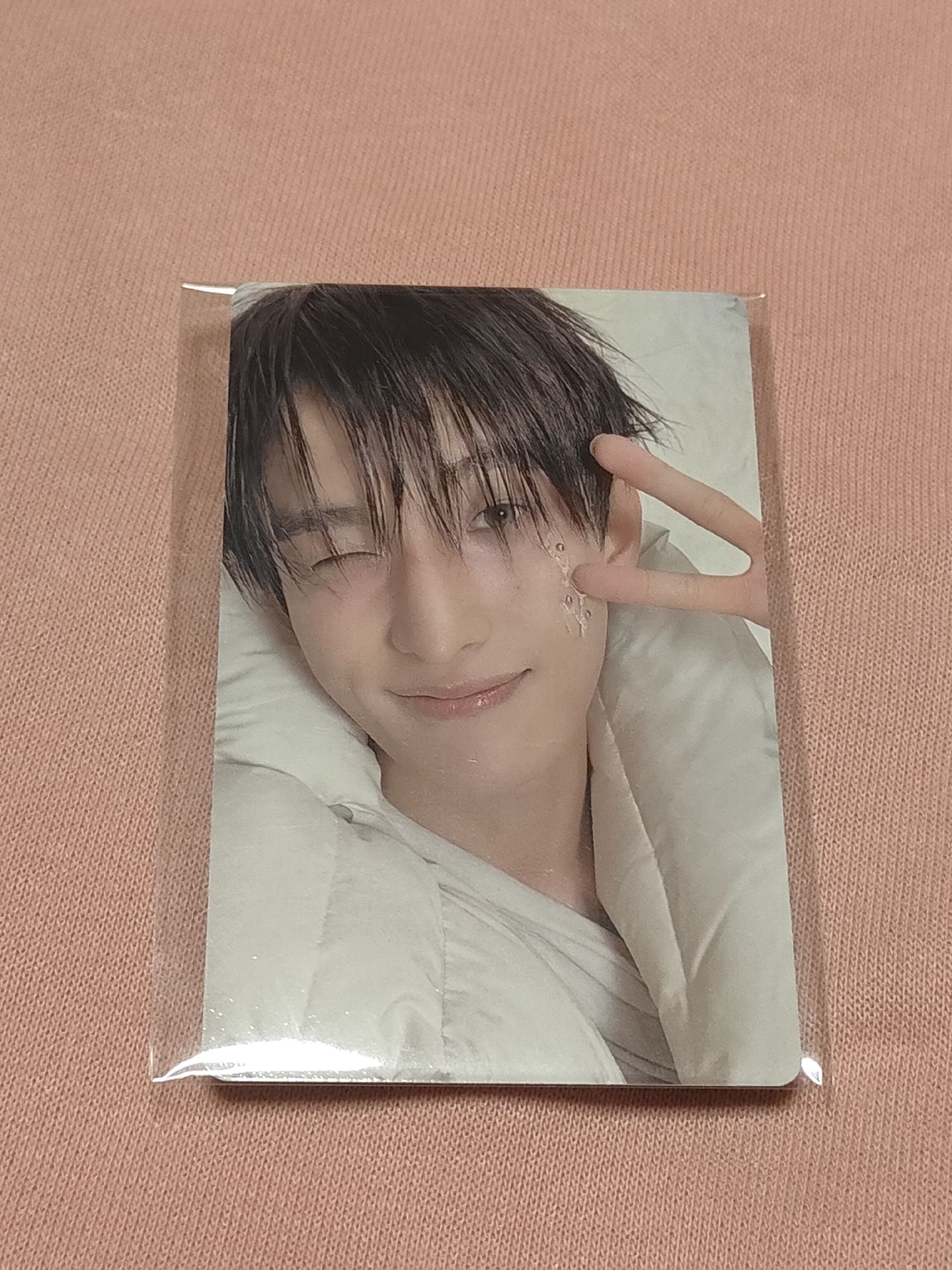 正五 wvs 特典卡 GV 碩珉