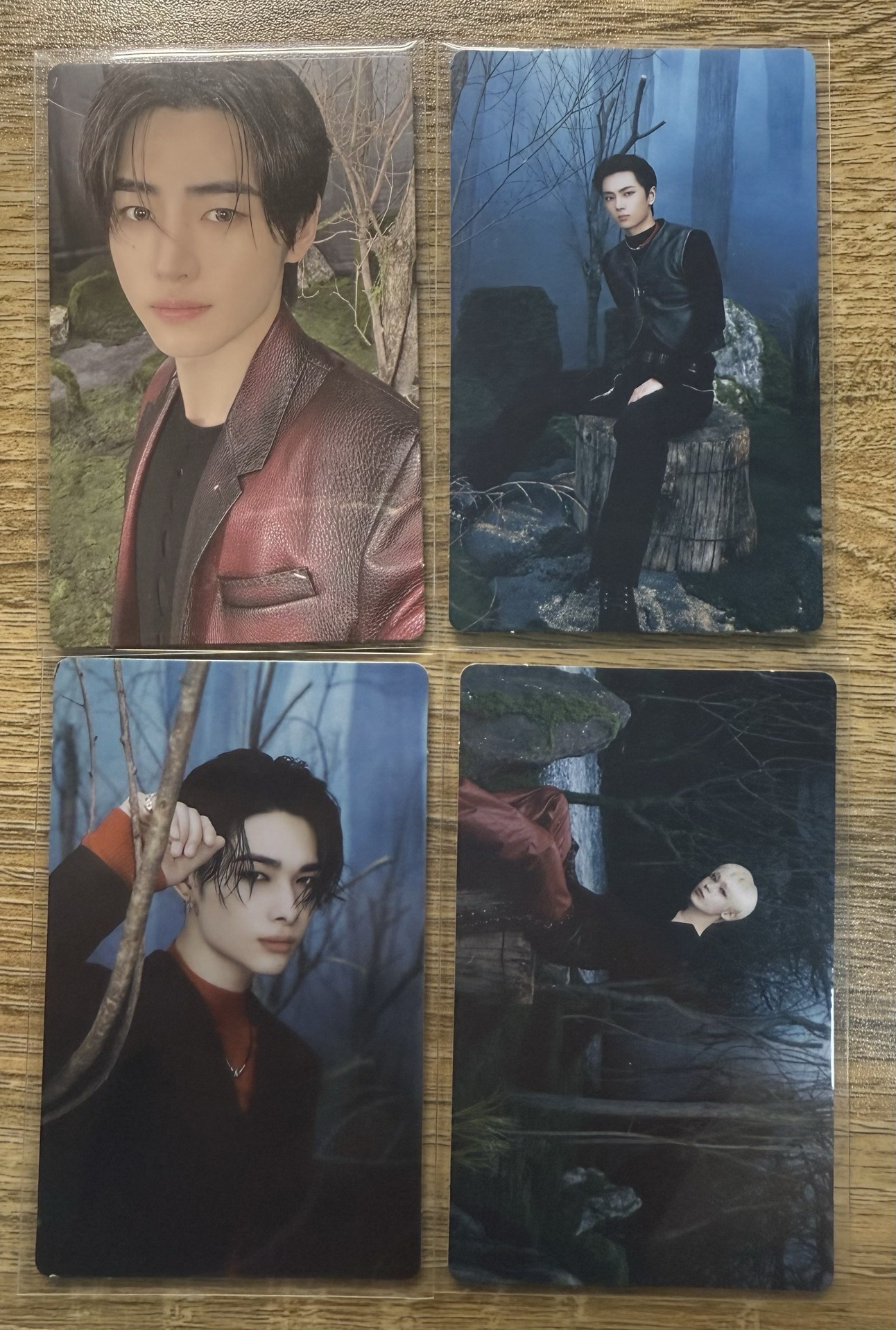 ENHYPEN 台北快閃卡包