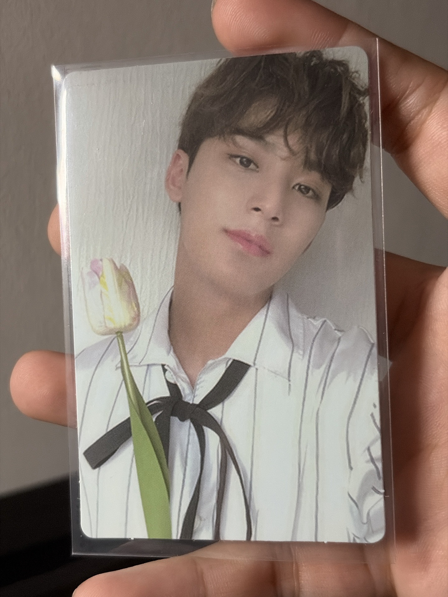 新年送給姐姐的第一朵花🌹