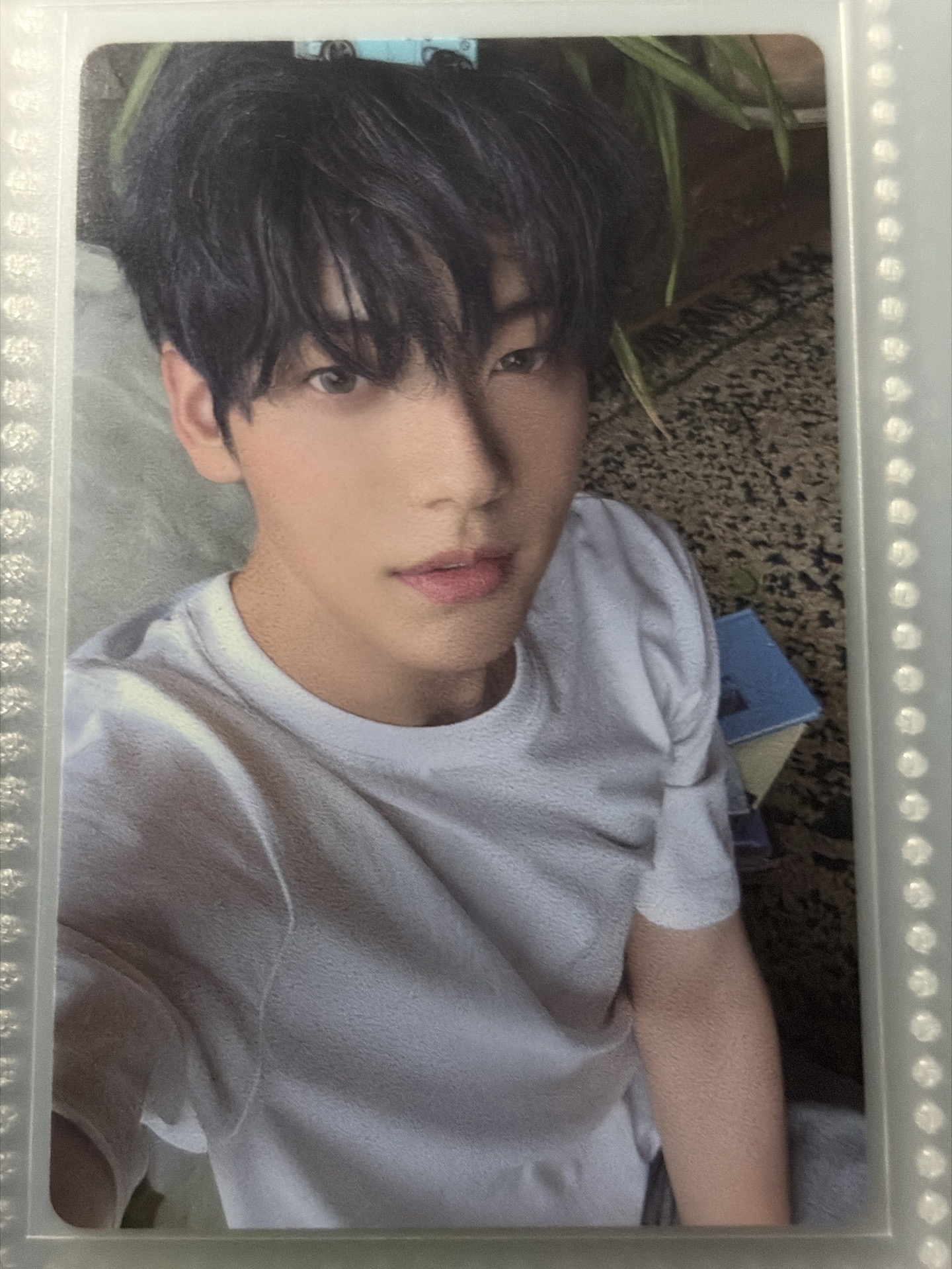 	夏天就是在這樣的時刻開始