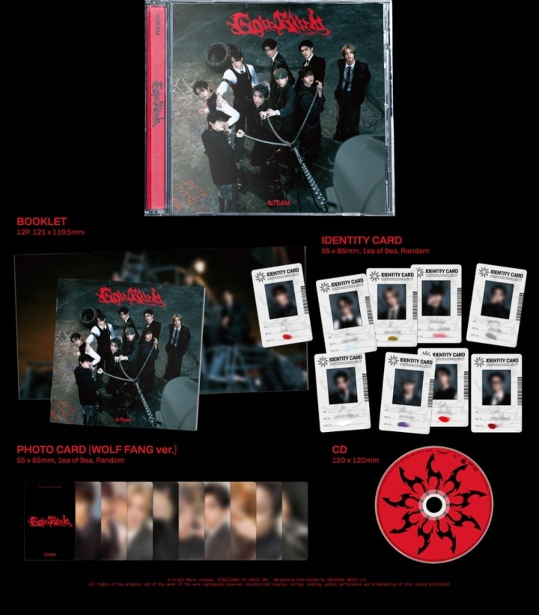 &TEAM 月狼 Go in Blind 通常盤 未拆