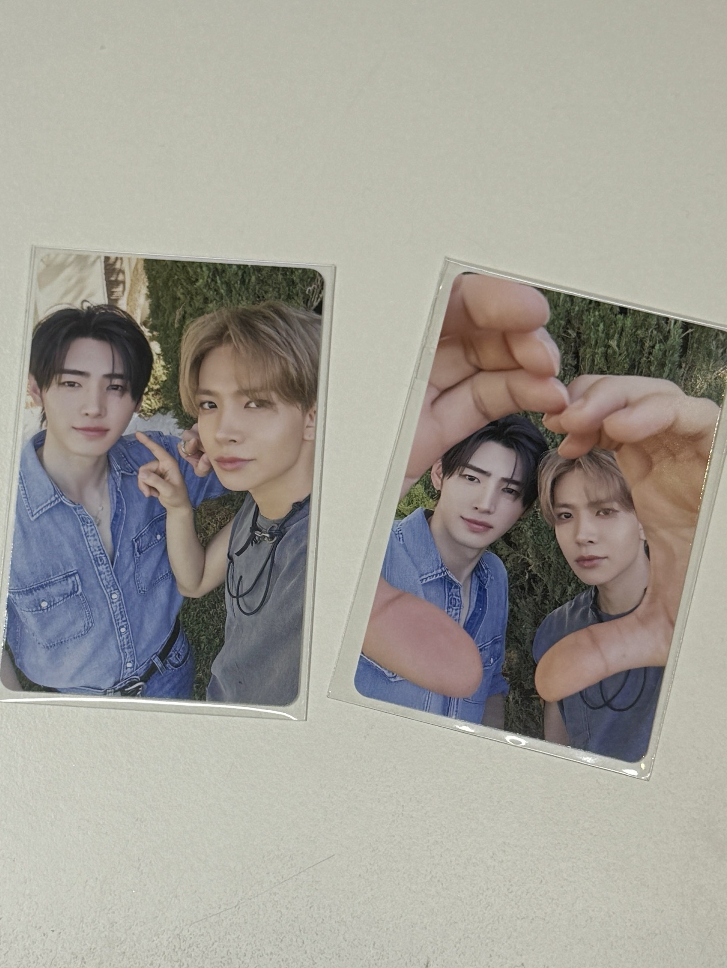 d社wvs特典 羲訓 花期