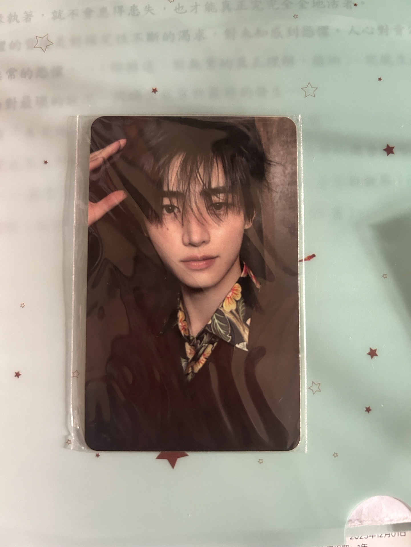 狗咖最熱門的飯糰小狗！