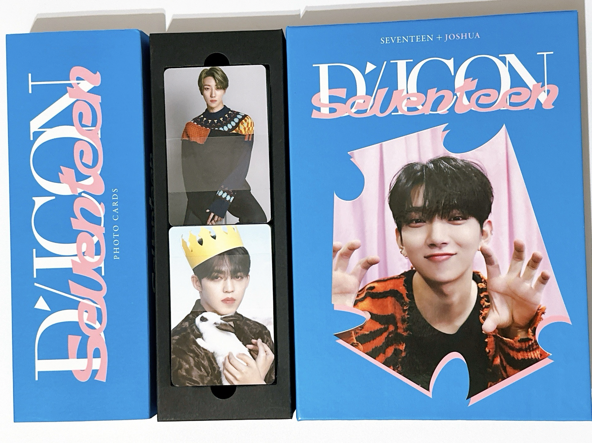 Seventeen Dicon 洪知秀