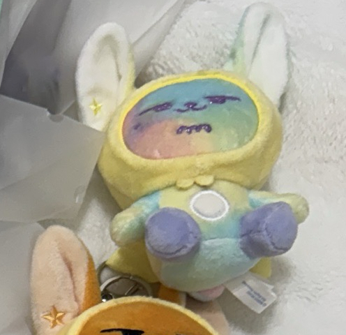 彩春 無原袋未下水