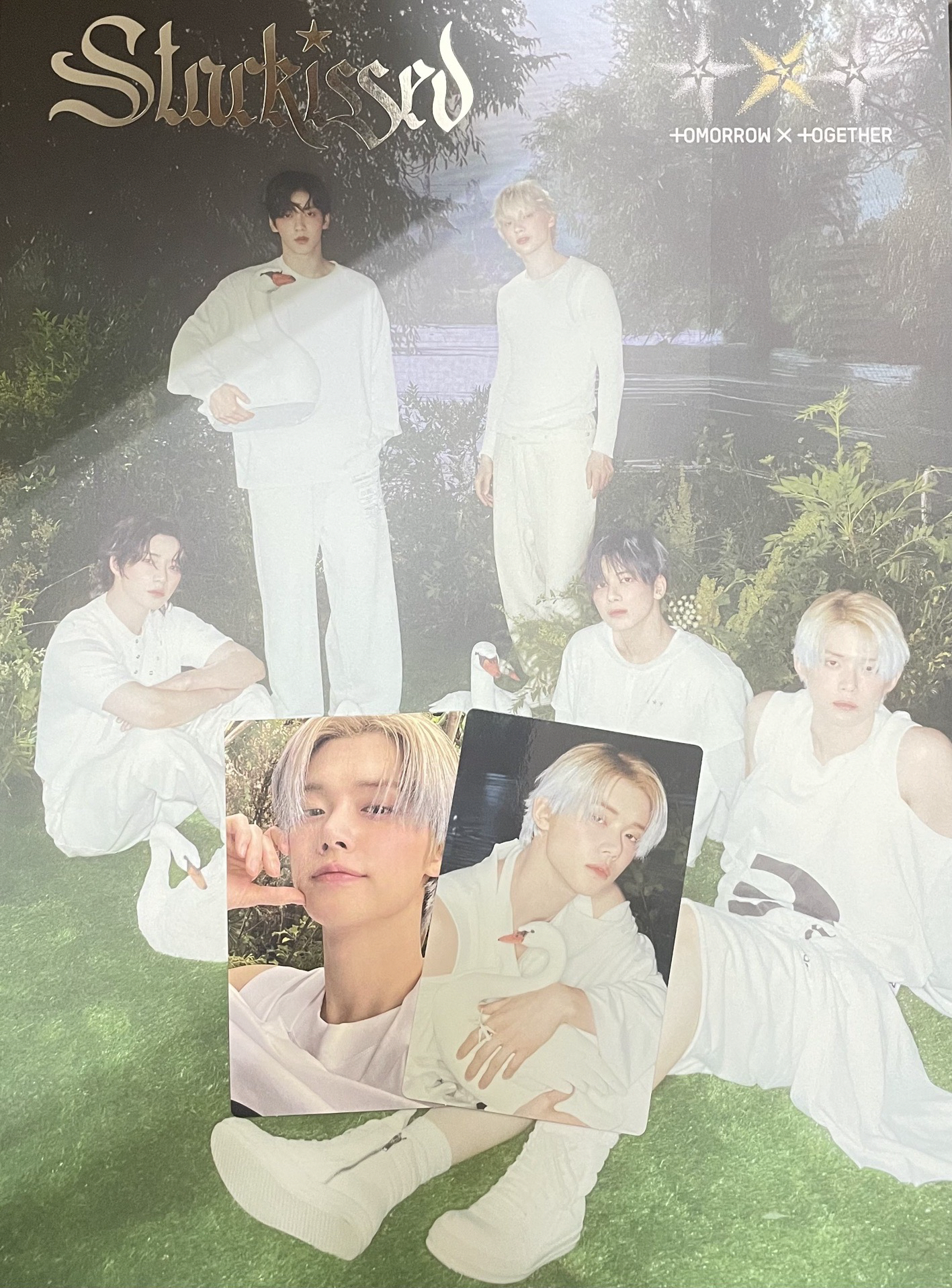 <Starkissed>已拆全專