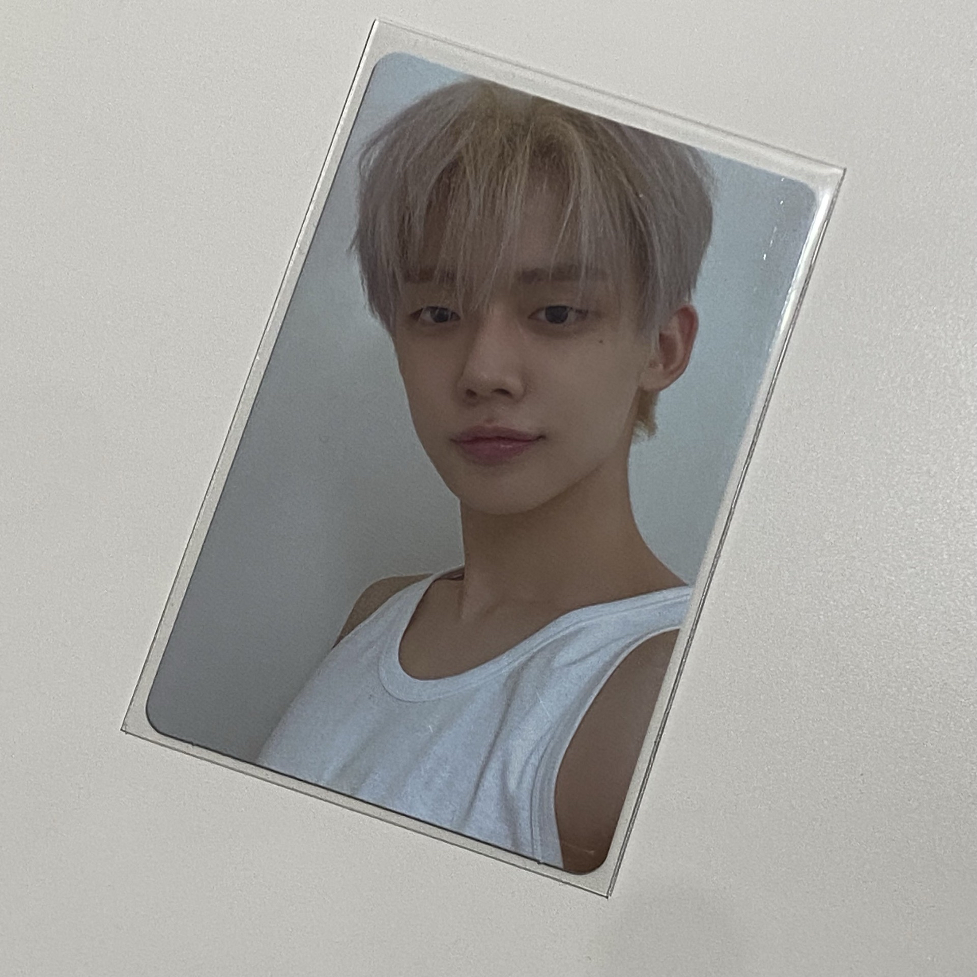 有損小豬（整圖收送）