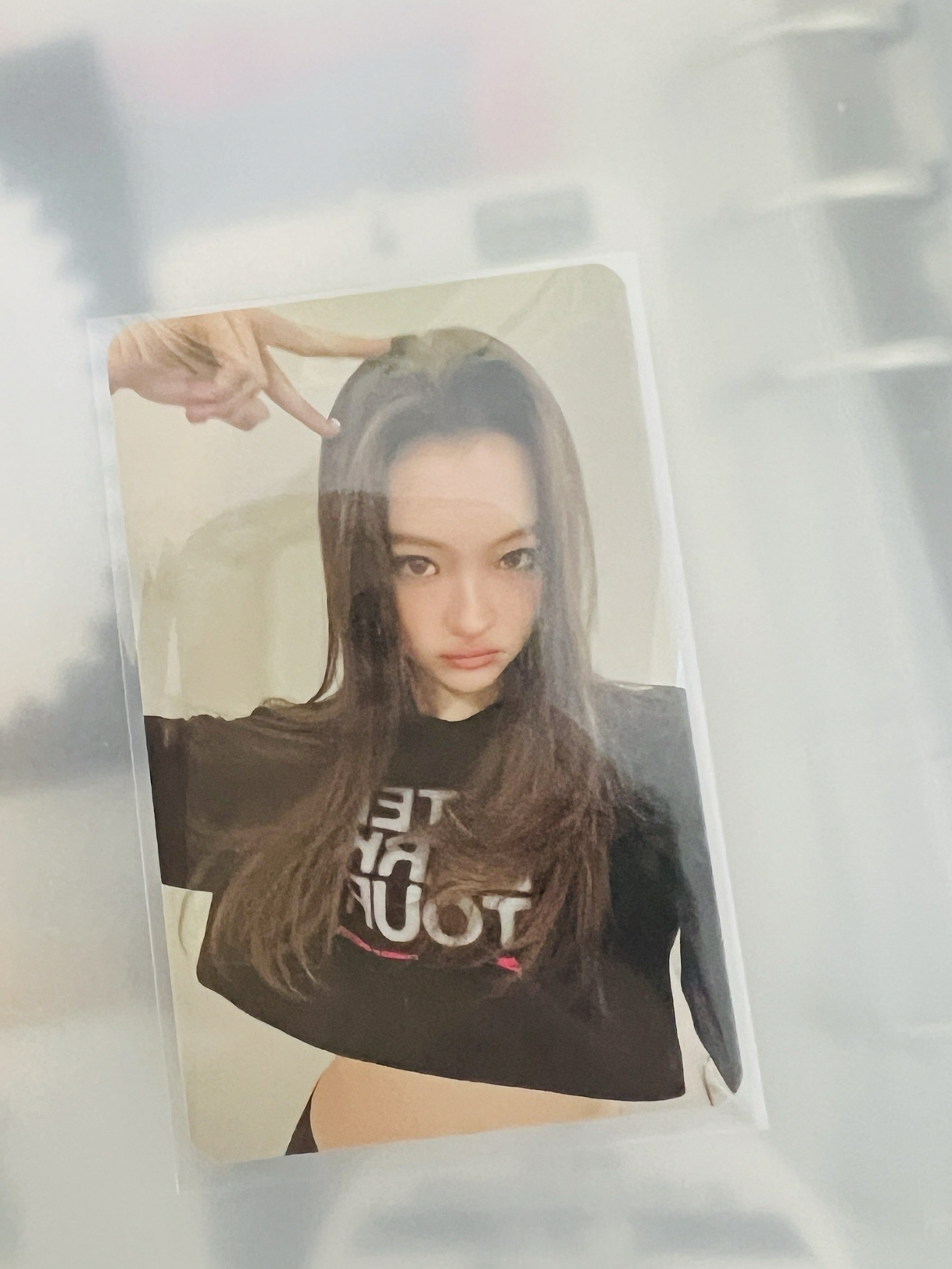 小貓耳Ella 快閃小卡