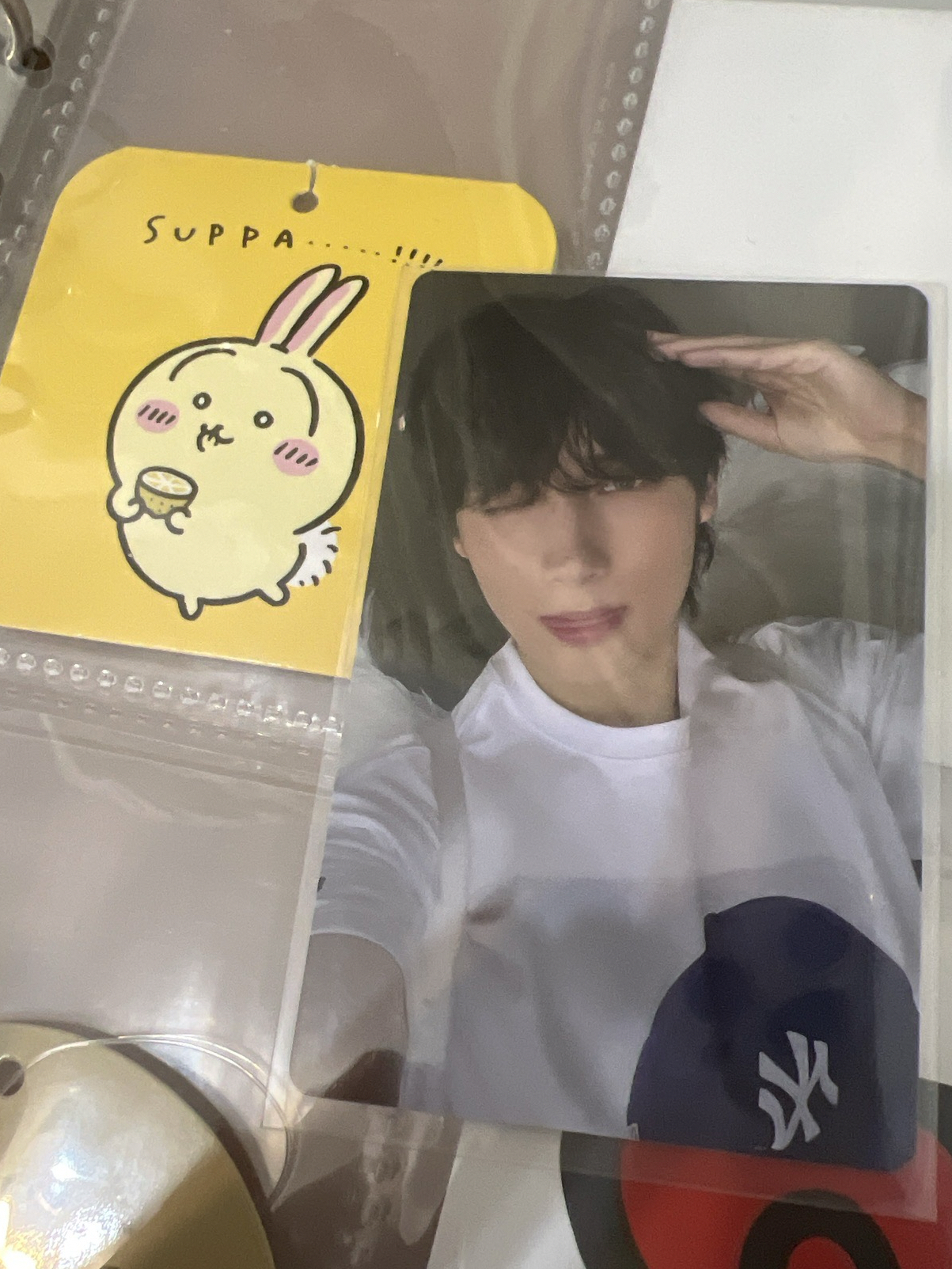 休寧凱 誰家笨蛋小狗天使ㄚ