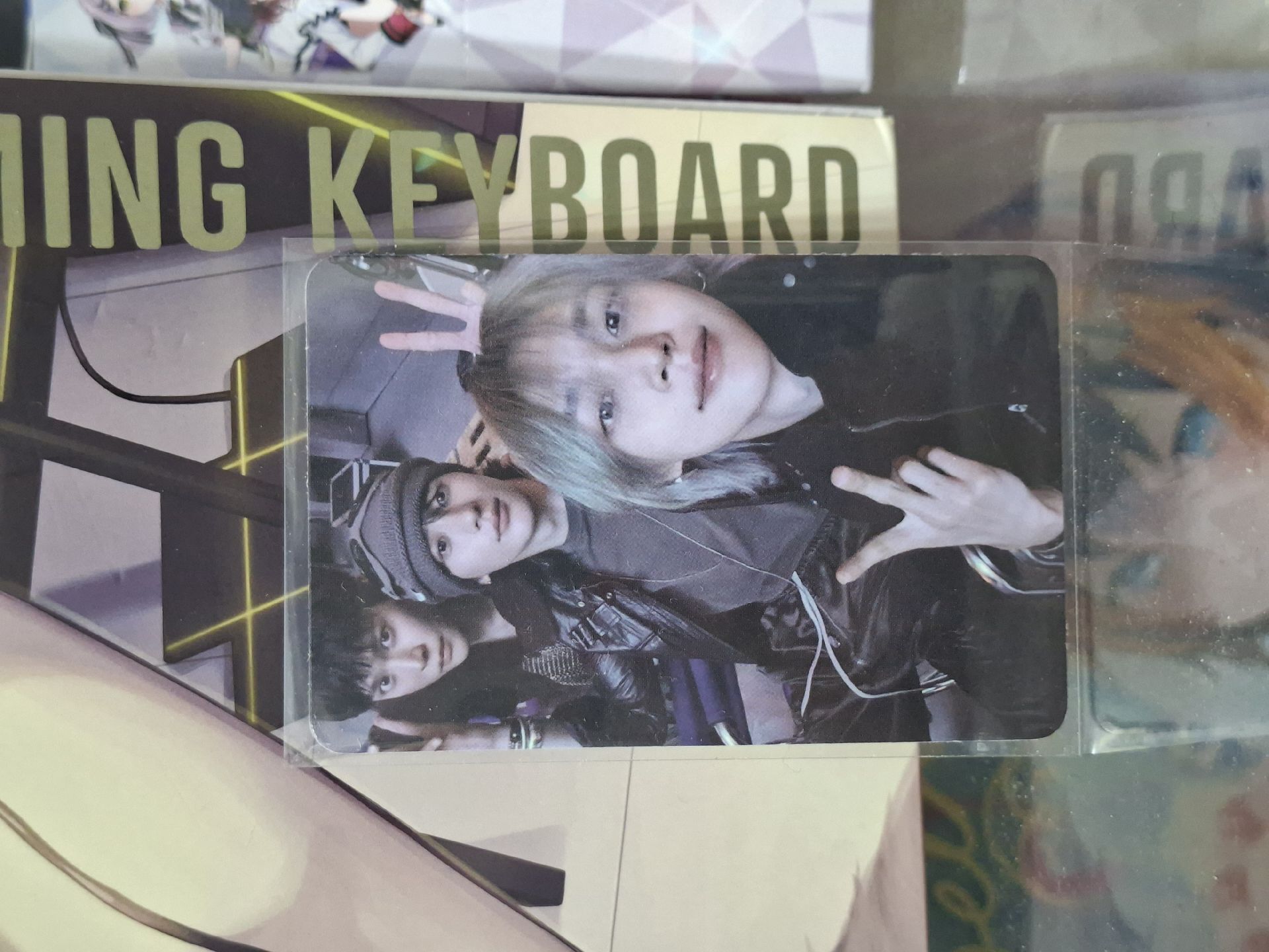 FAME 專輯卡 Catalogue