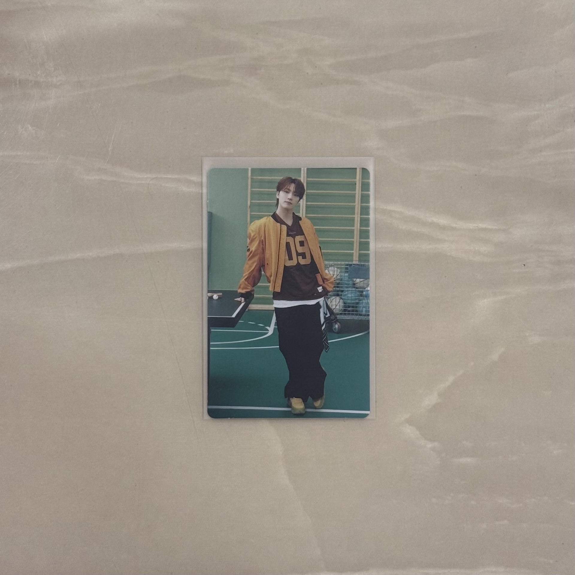 25‘克拉島 隨機卡 / DINO