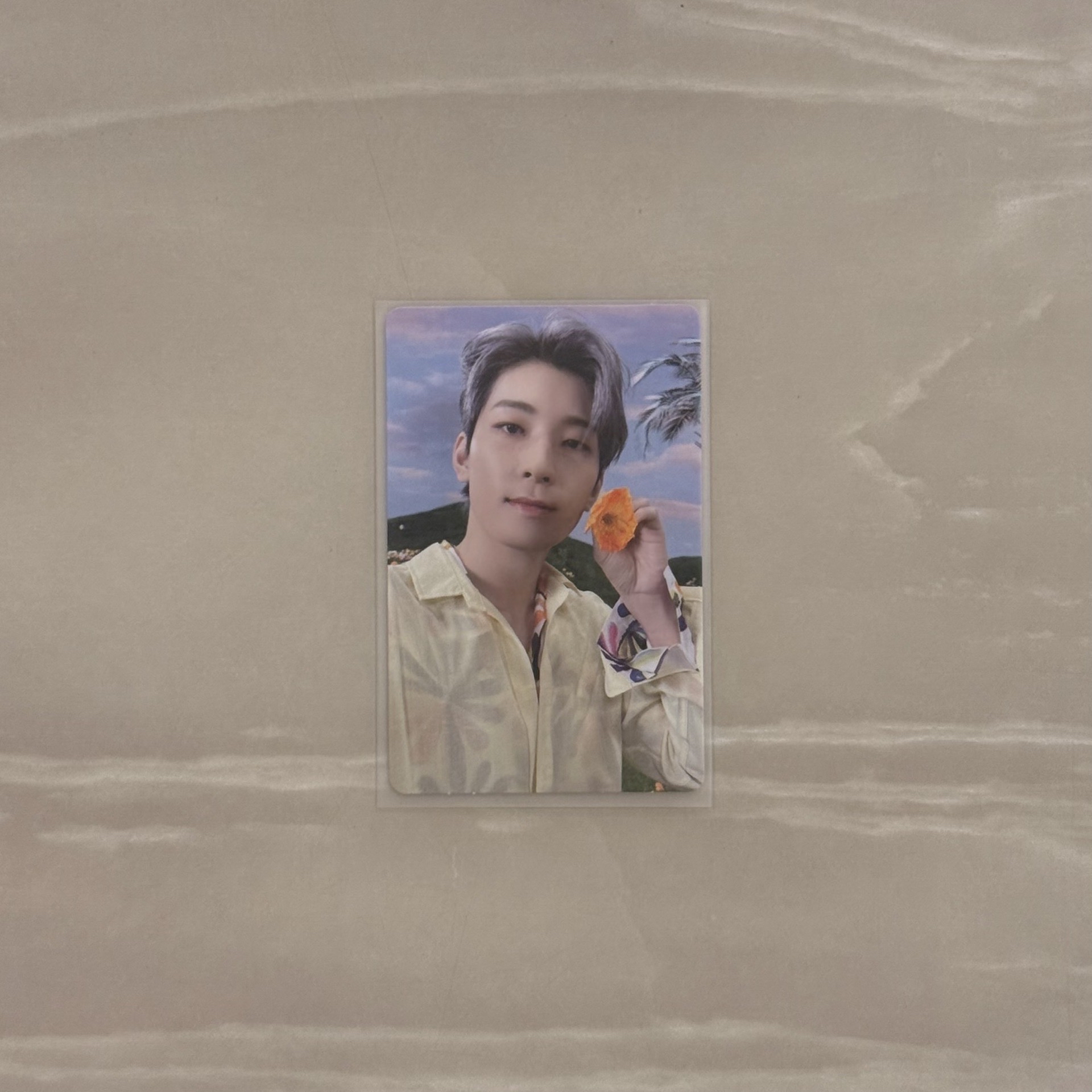 正四後續 專輯卡 正規四後續｜KIT ver. / WONWOO