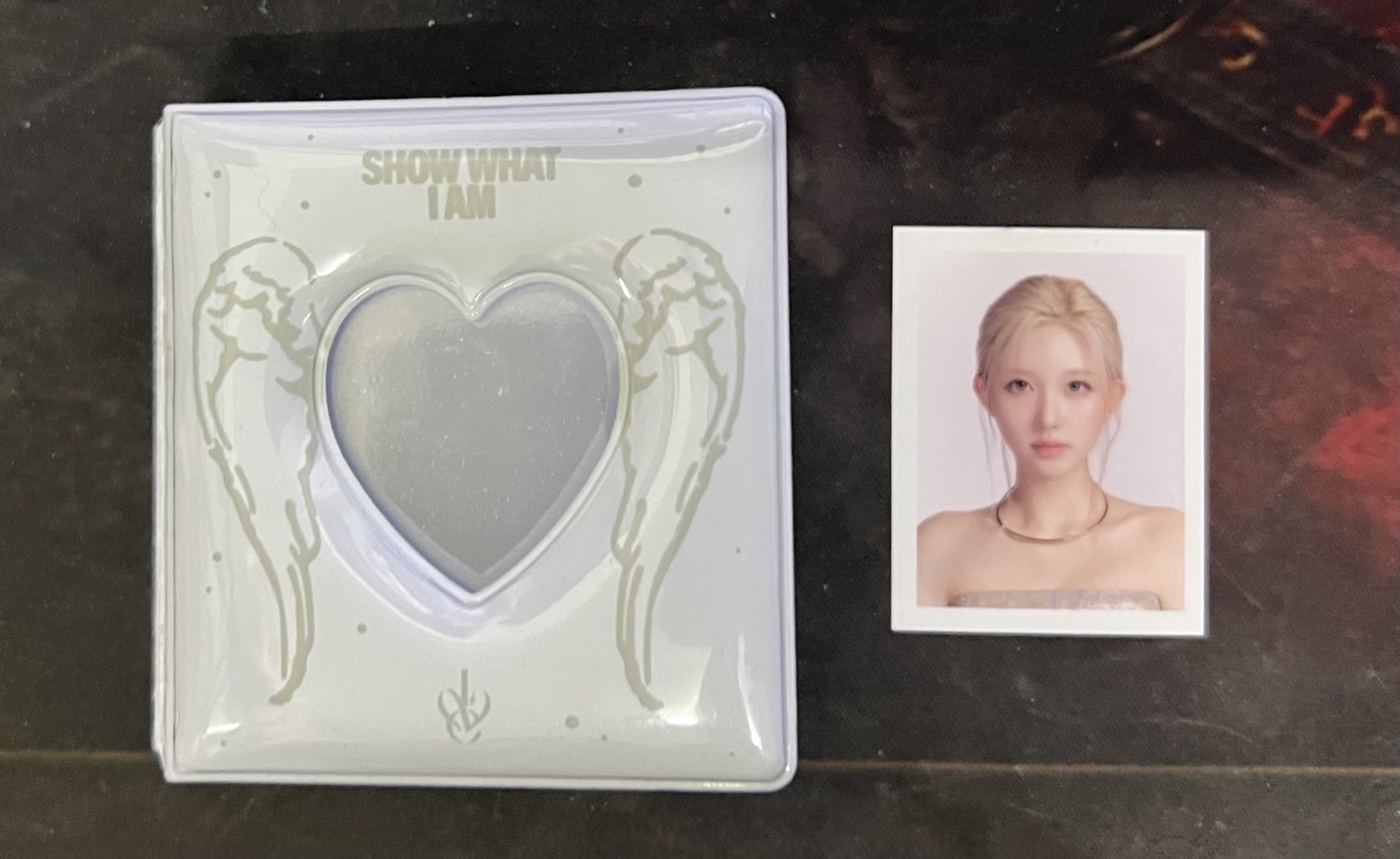 SWIA 08證件照收集冊+秋證件照