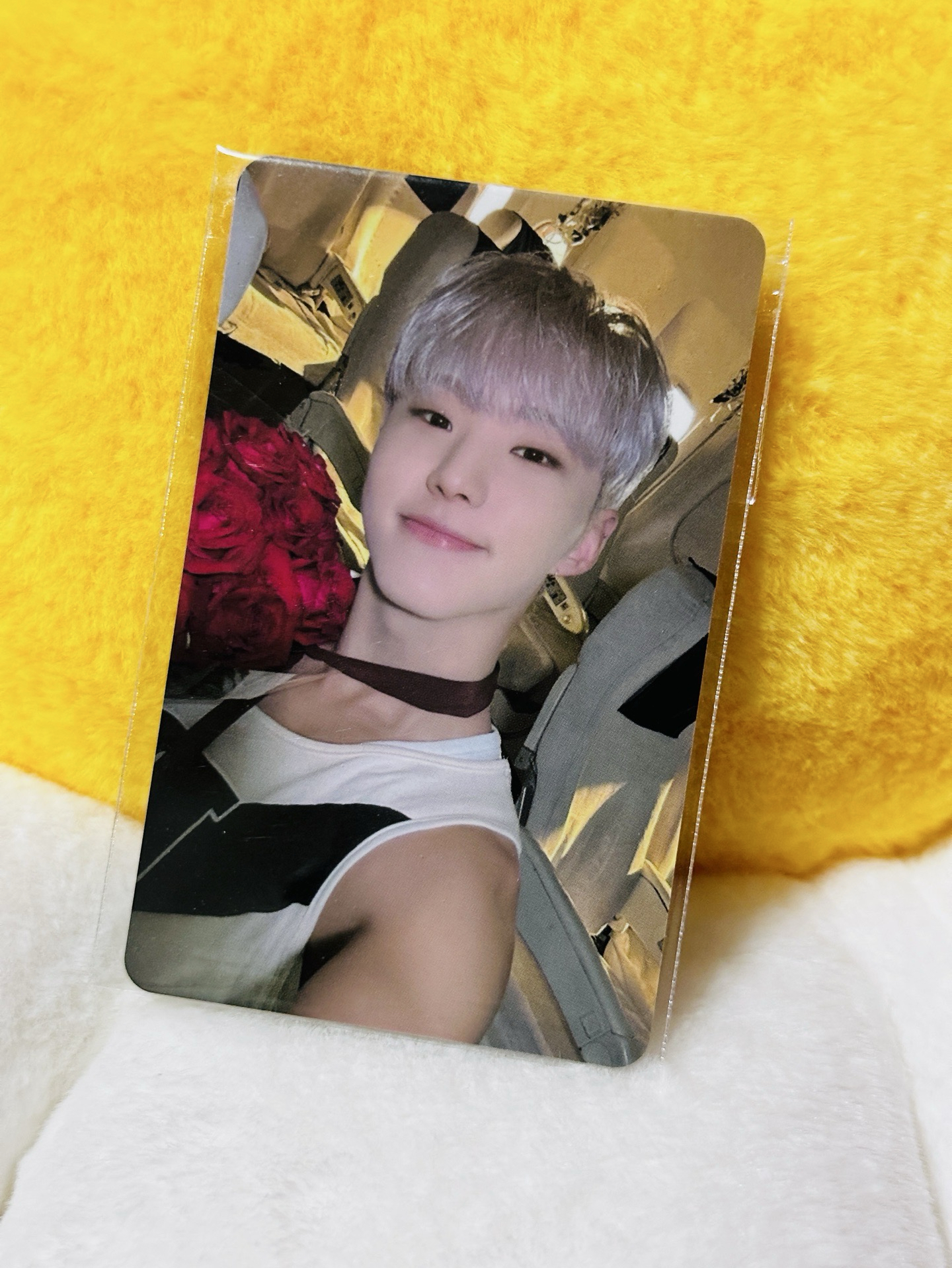 權順榮 迷12br LD