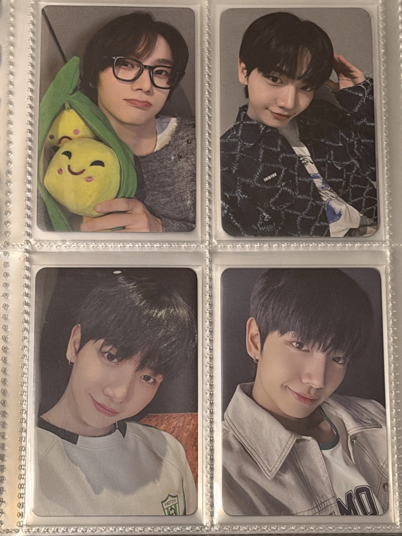 豌豆1/狗耳3/愛豆驛站3/中文卡背