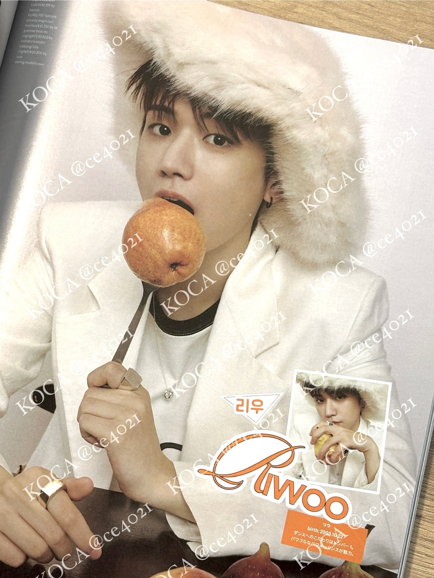 Nylon 2024年1月號雜誌