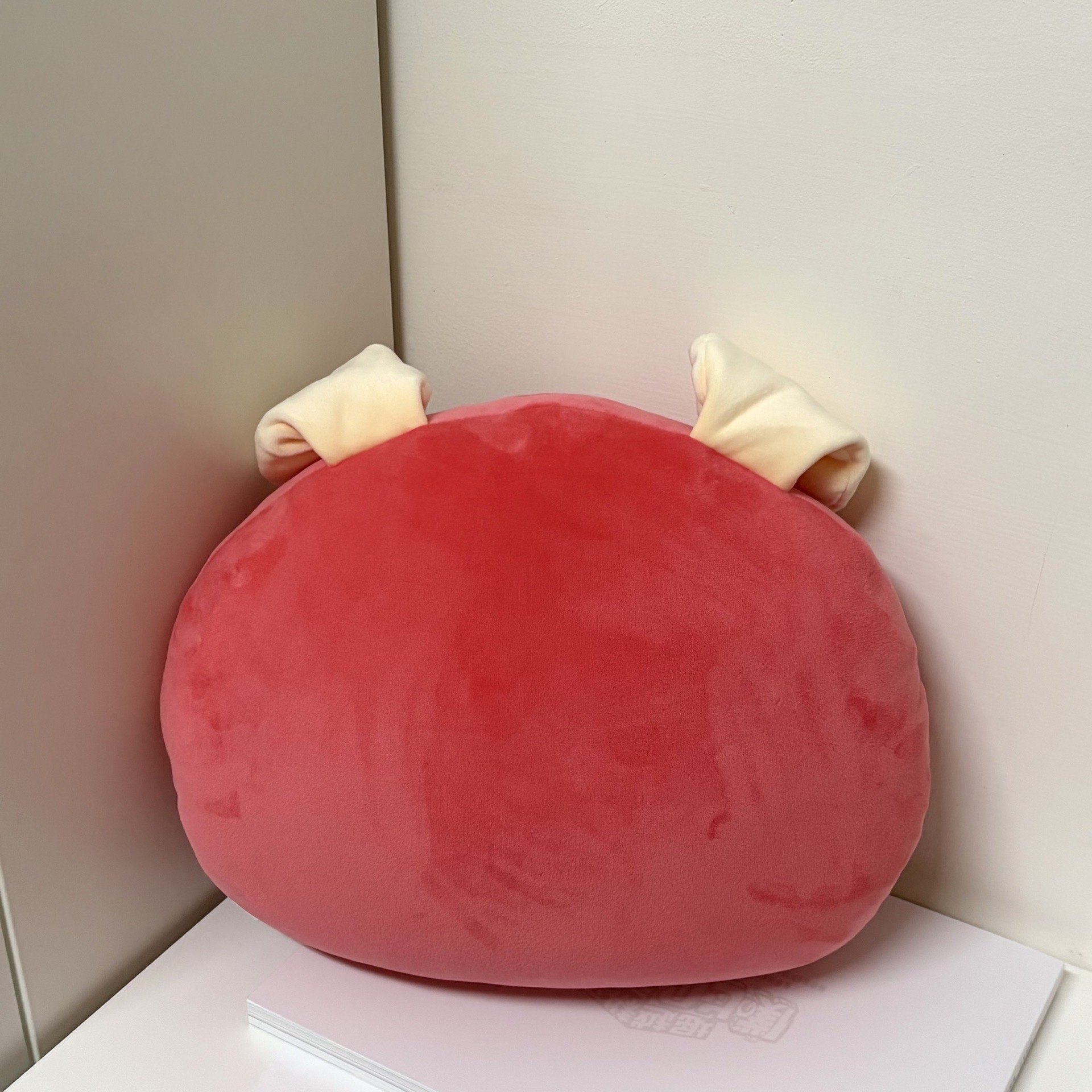 SUMMER CCREW 抱枕 RANGMO