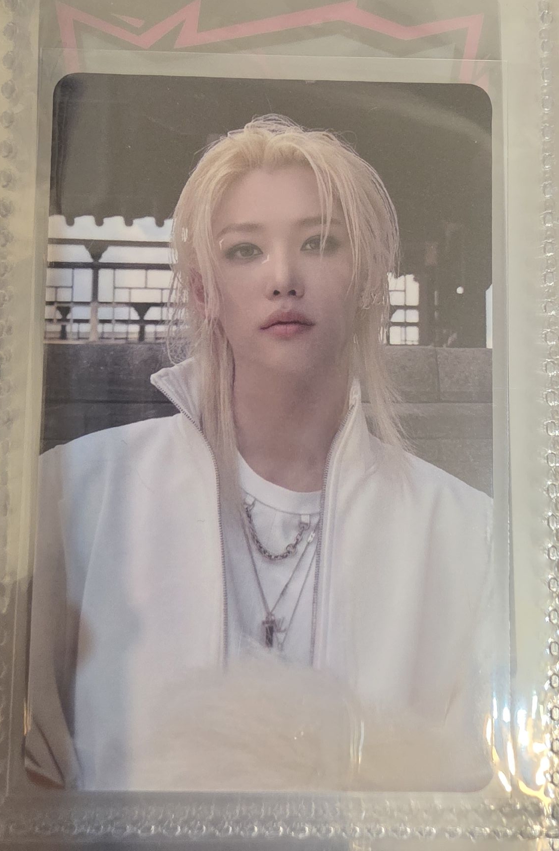 HOP 塔店特典 菲