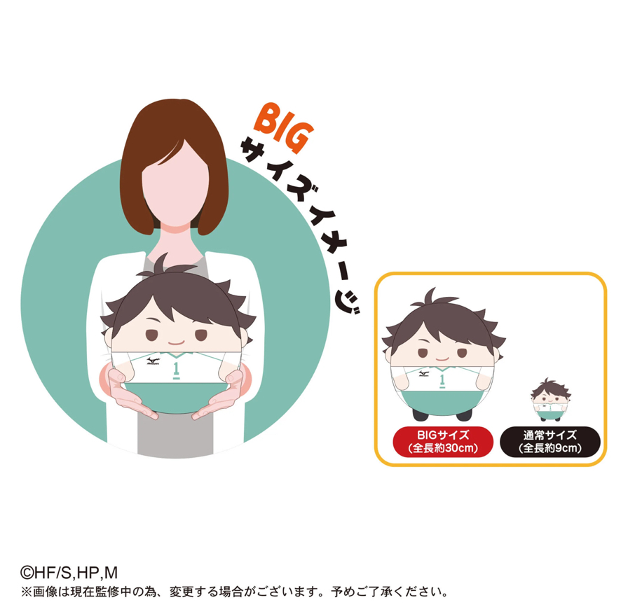 圓滾滾娃-BIG第四彈