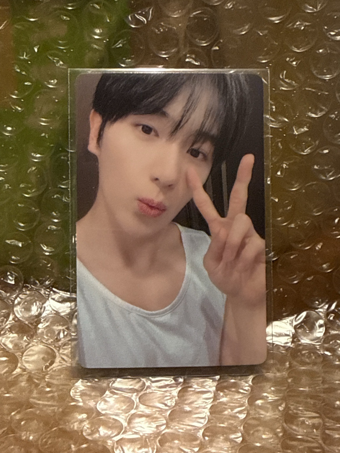 李在賢簽售卡中背