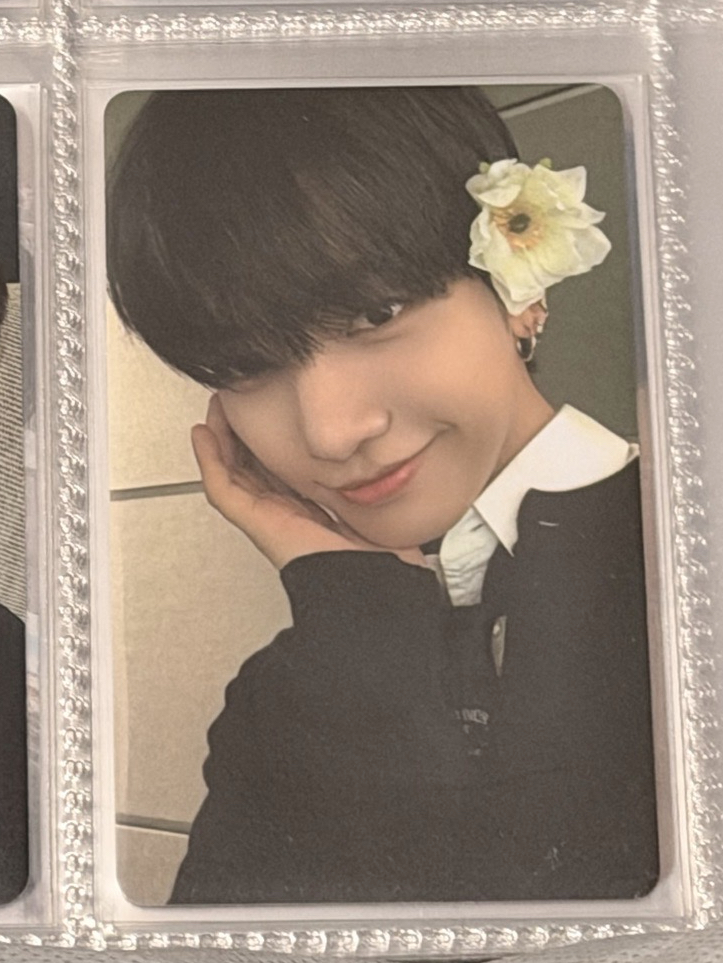 wvs pb🐶（標價為一卡&兩張單封）