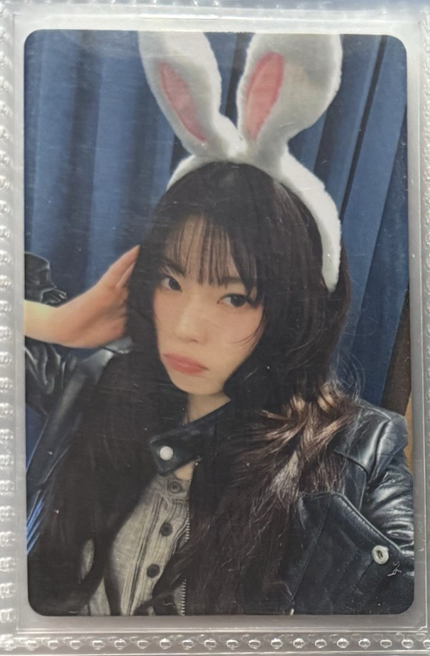 🍞數星星兔子中簽圭