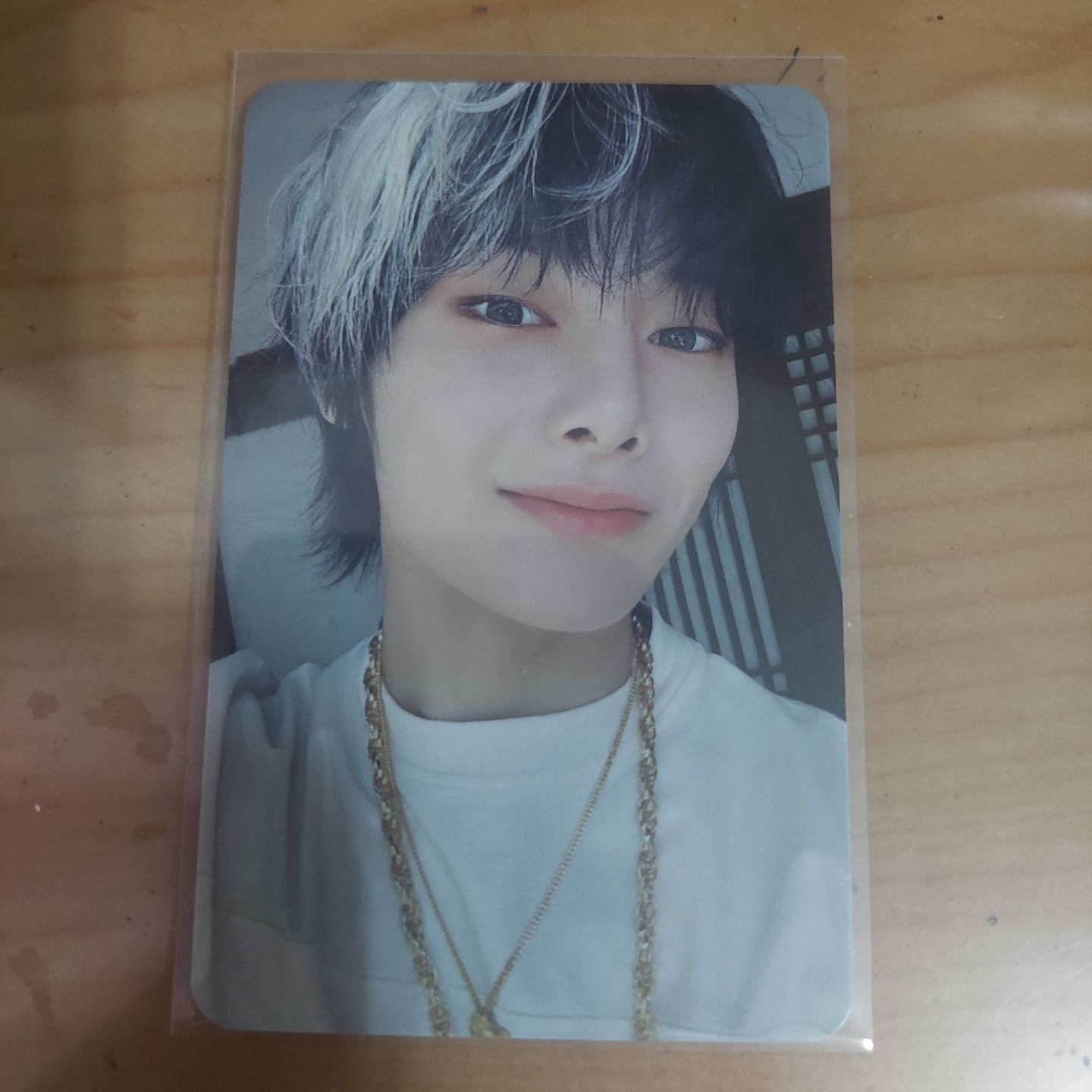 寅專輯小卡專區🦊🦊