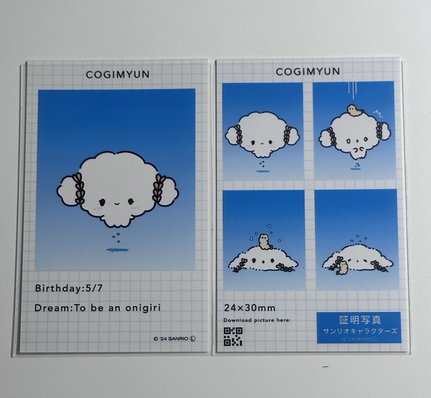 三麗鷗 小麥粉證件照