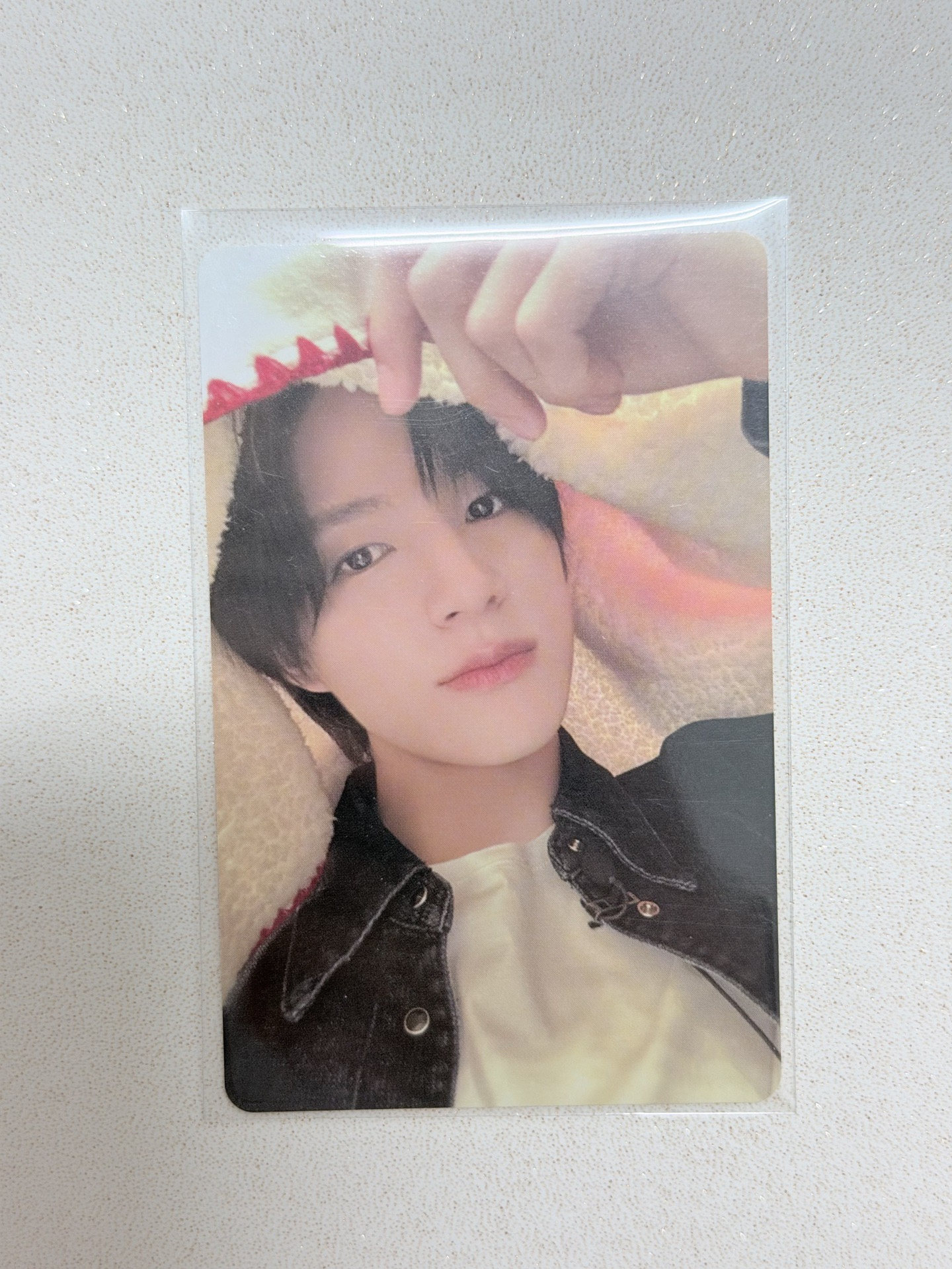 2024聖誕隨機卡 帝努+仁俊