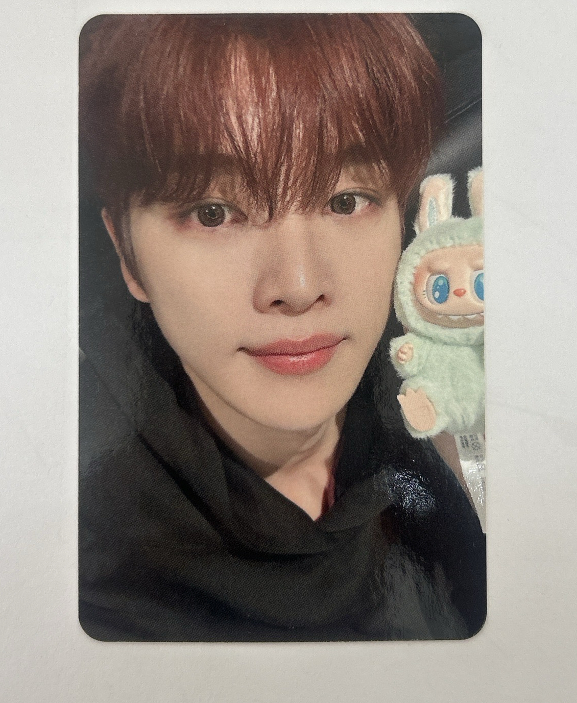 RIIZE 跟拉布布合照 鄭成燦