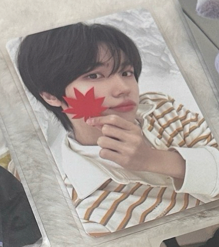 安性珉 秋季滿額卡