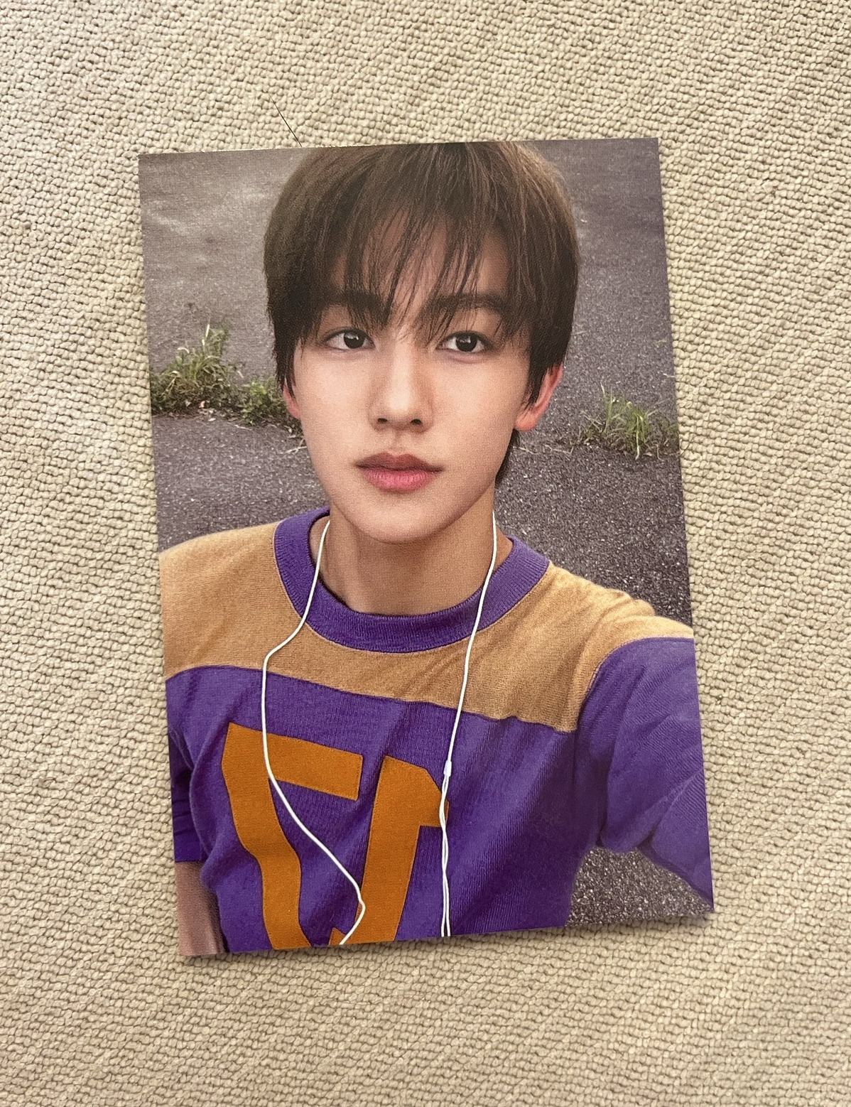 Cortis 2026年曆 wv 特典卡