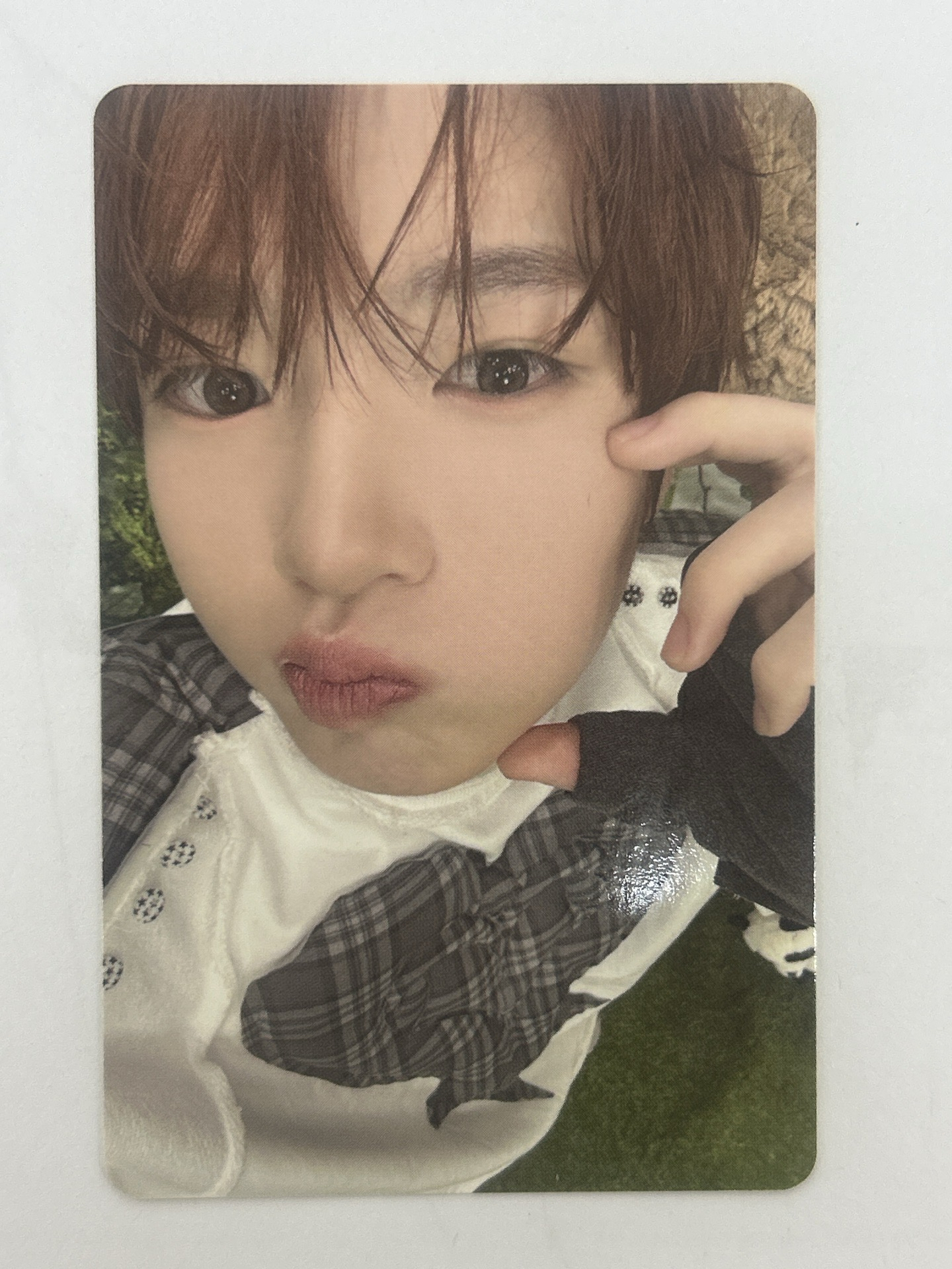 @NCT WISH COLOR 單封專卡