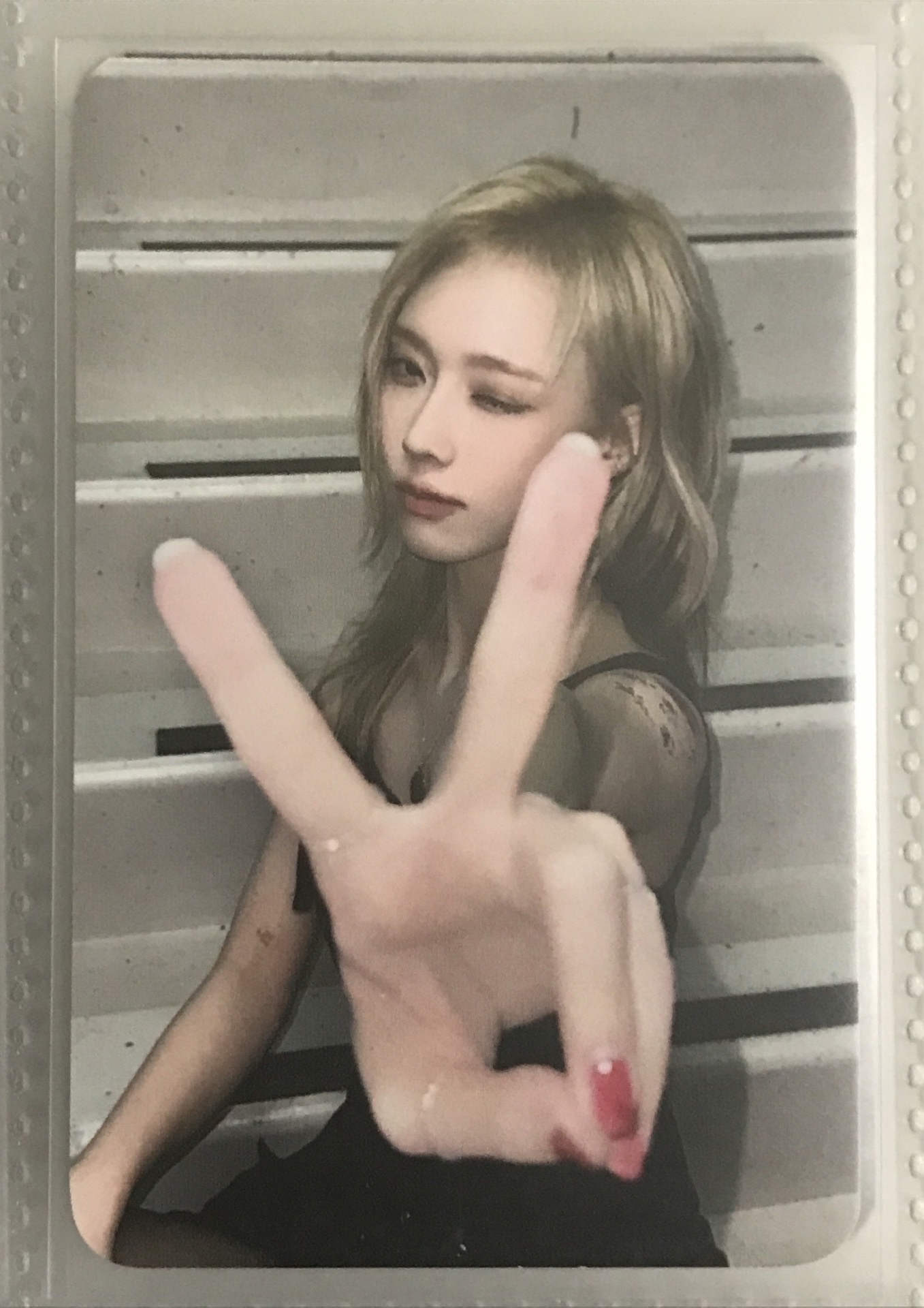 Whiplash快閃滿額冬