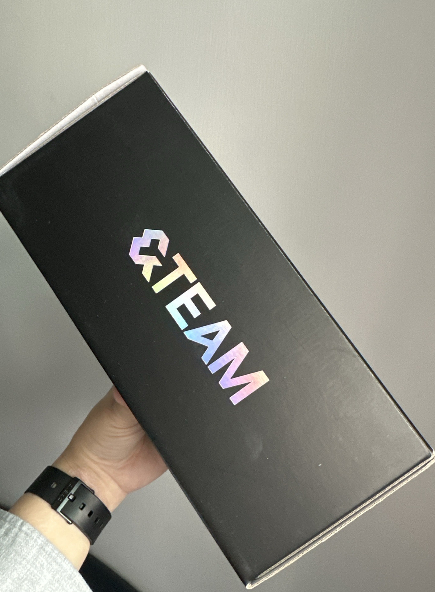 &TEAM 官方應援手燈（wvs購入）