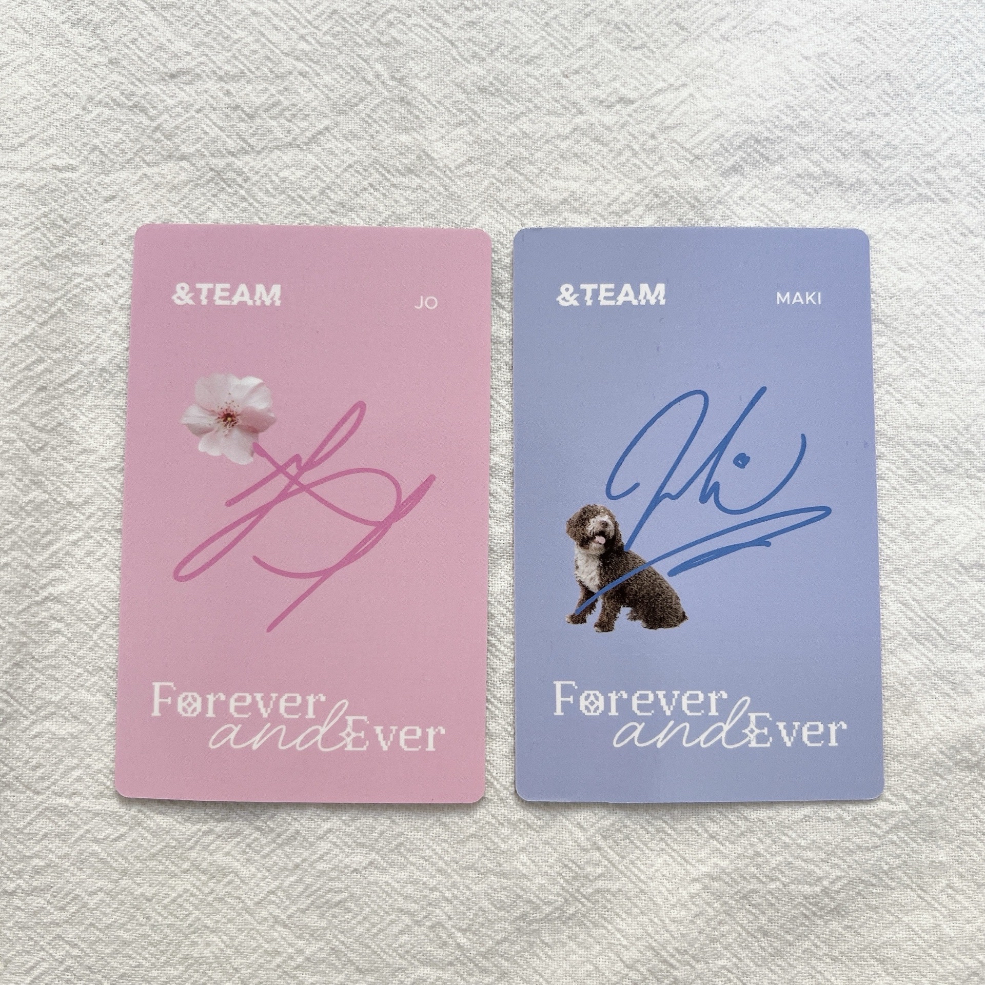 &TEAM Dicon 隨機卡 